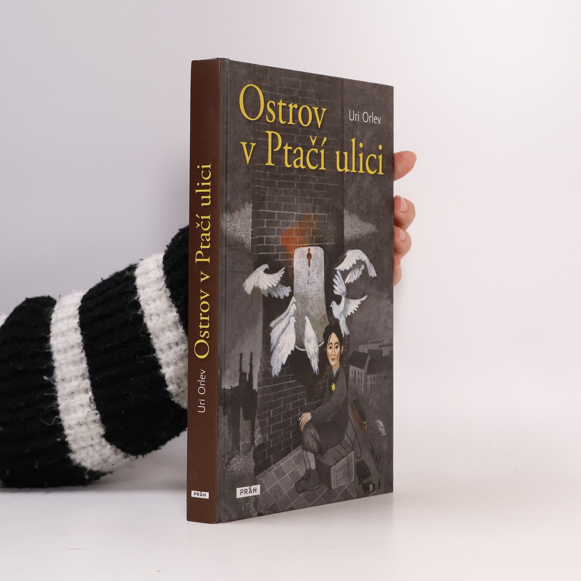 Uri Orlev Ostrov v Ptačí ulici