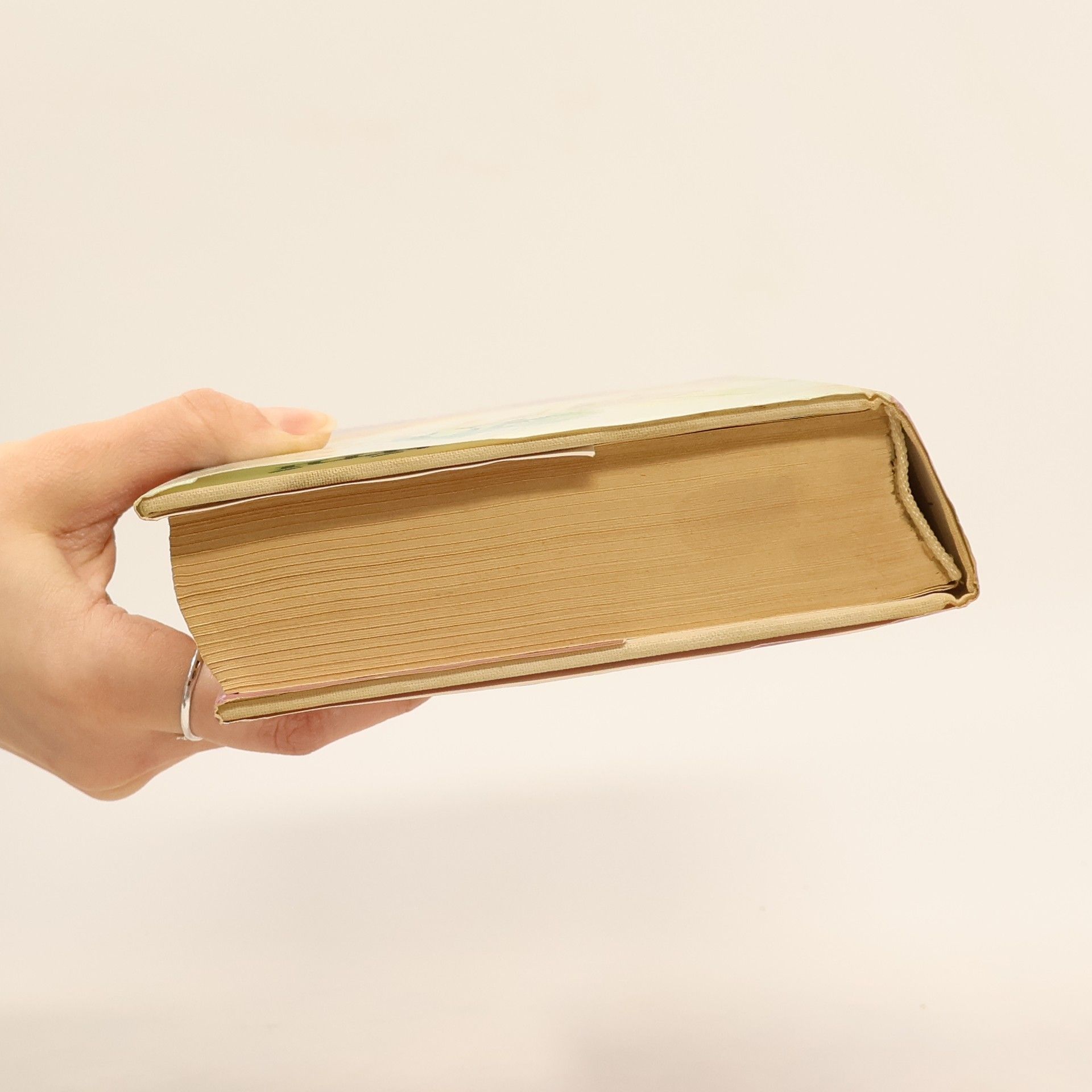 Colleen McCullough Vtáky v tŕní