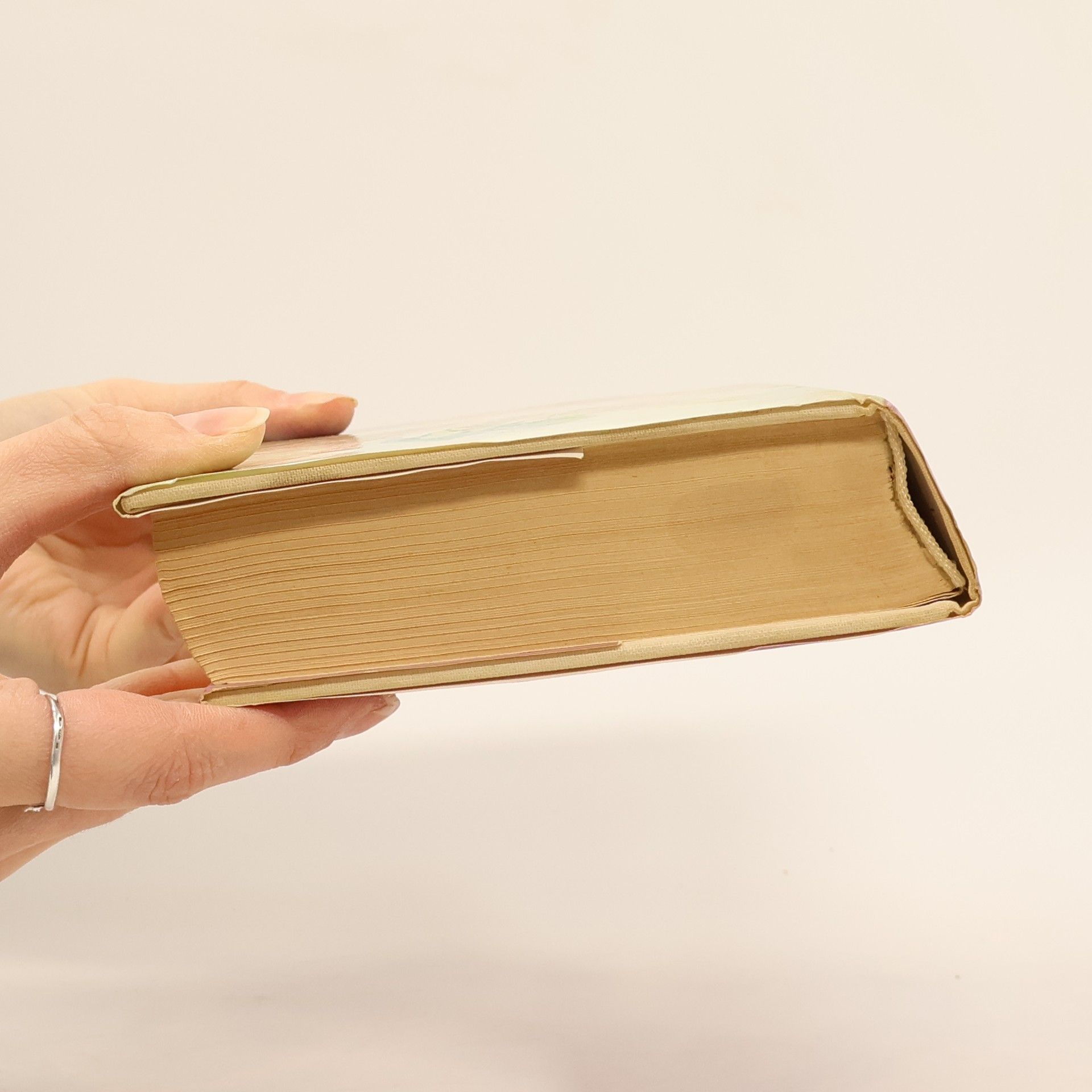 Colleen McCullough Vtáky v tŕní