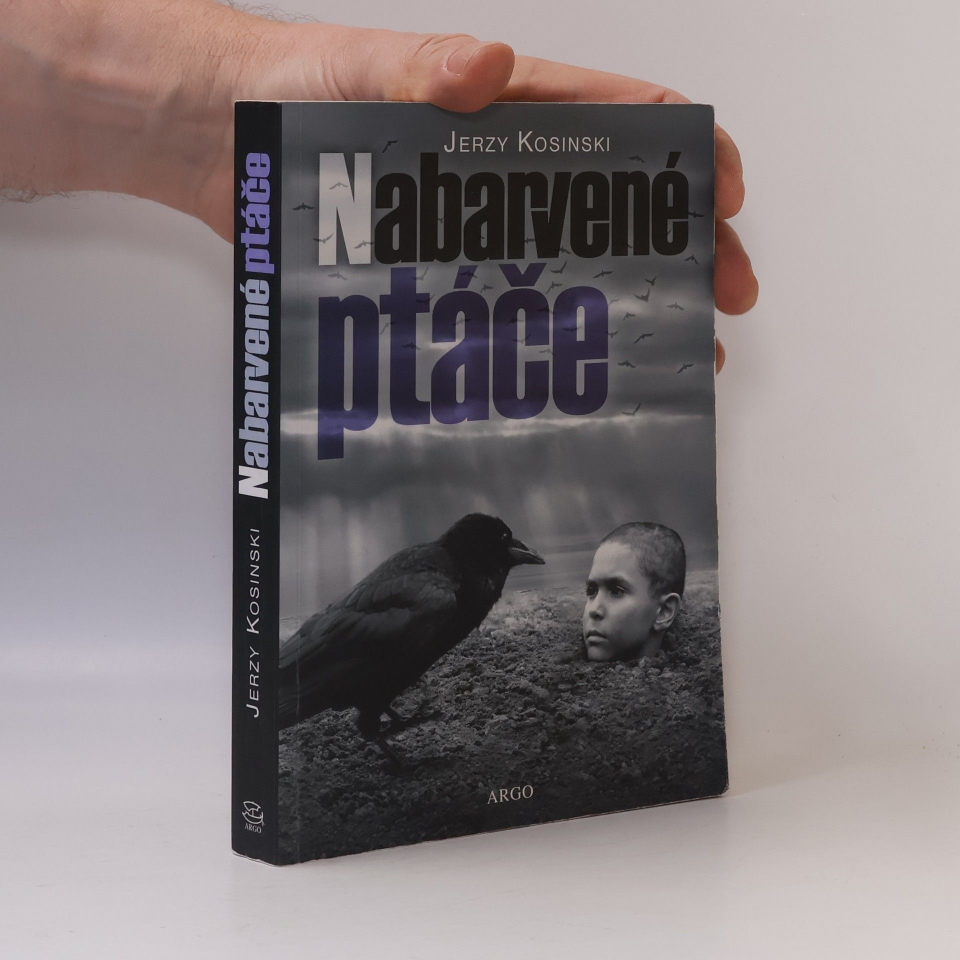 Jerzy Kosinski Nabarvené ptáče
