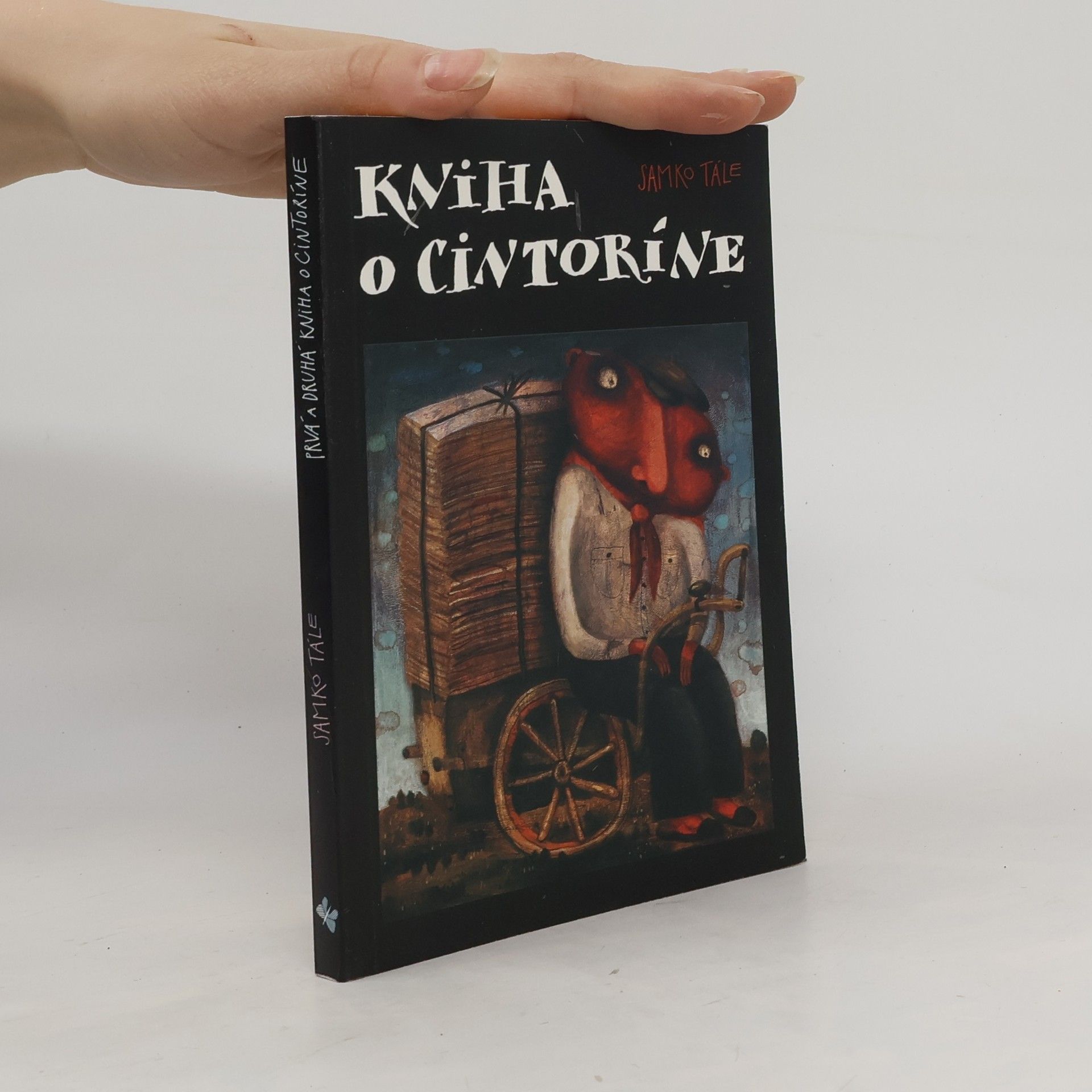 Daniela Kapitáňová Kniha o cintoríne