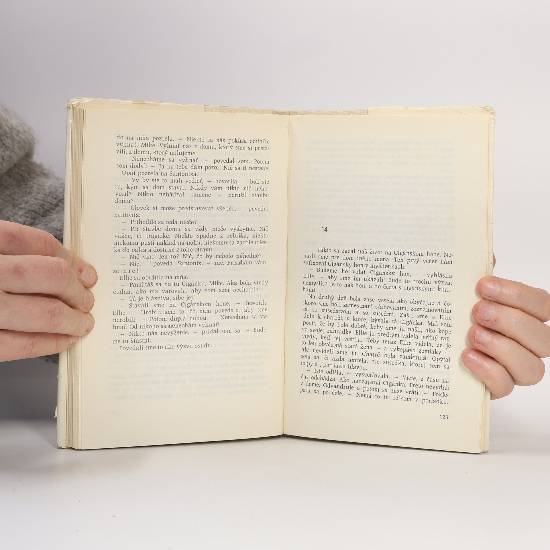 Agatha Christie Nekonečná noc