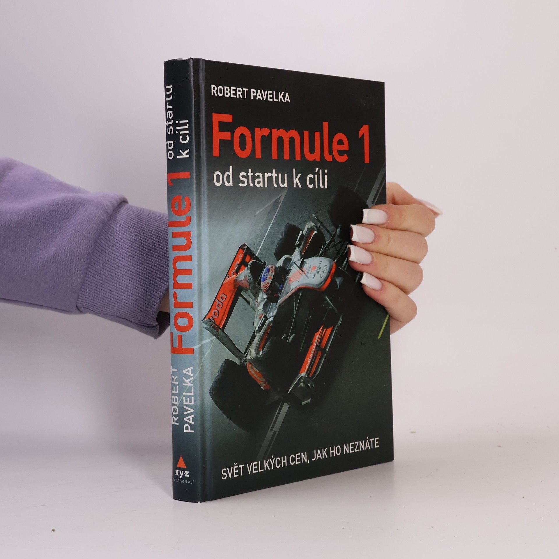 Robert Pavelka Formule 1 : od startu k cíli