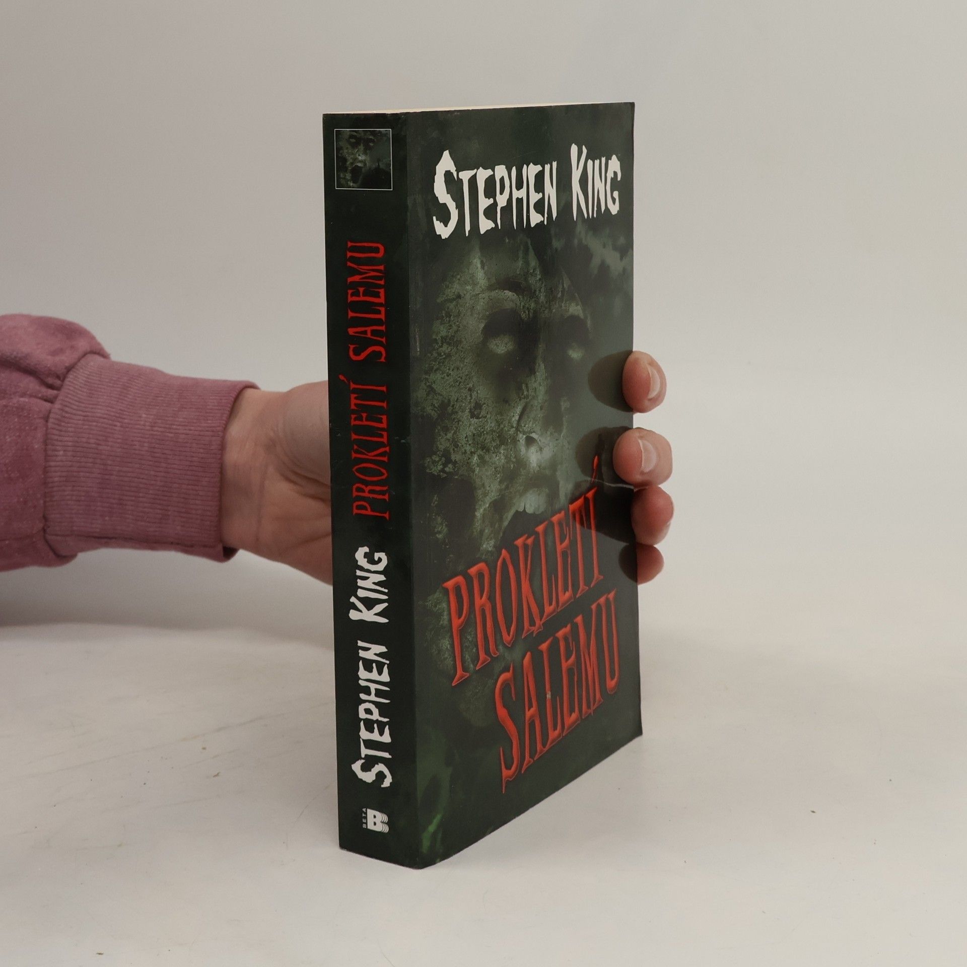 Stephen King Prokletí Salemu