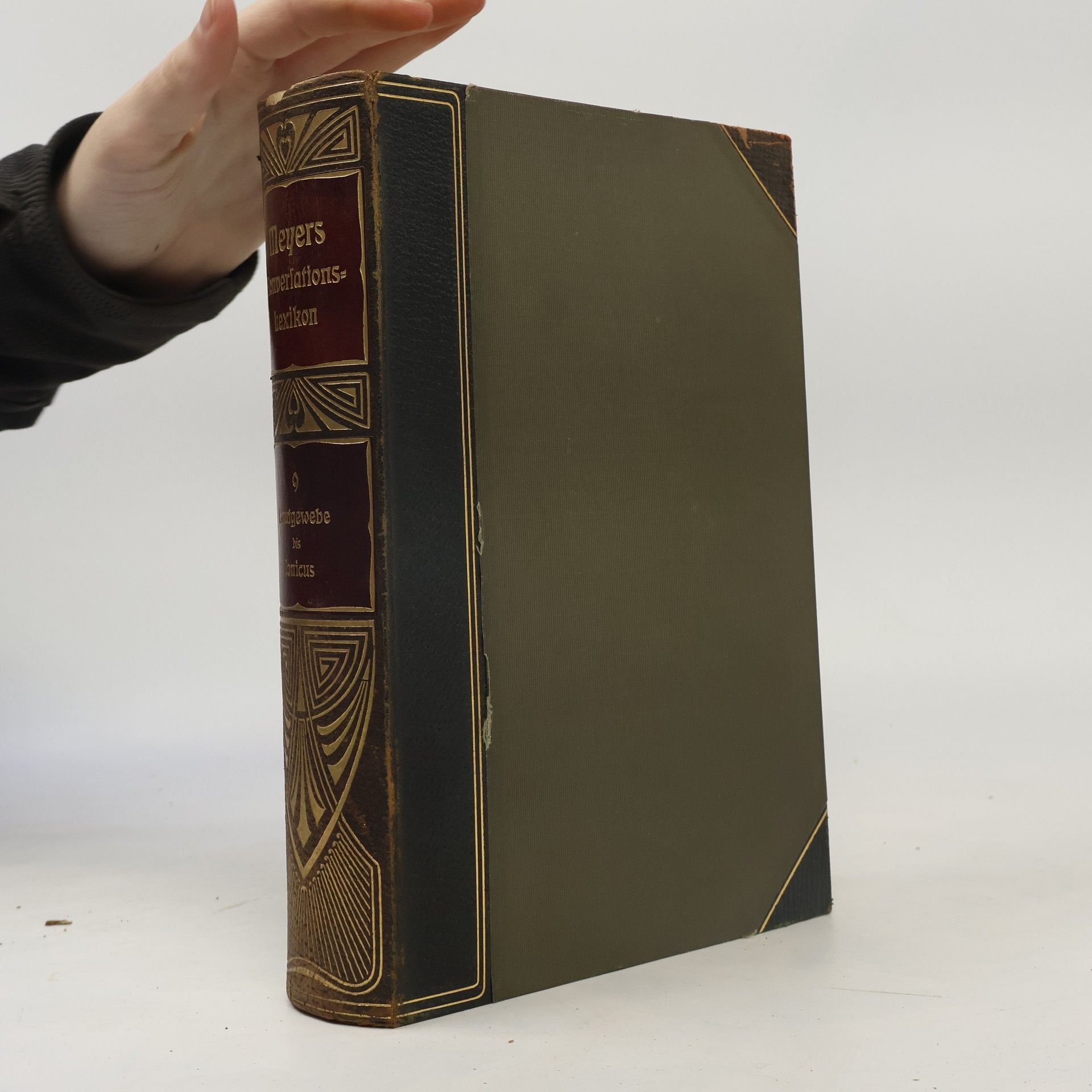 Kolektiv autorů Meyers Großes Konversations-Lexikon 9