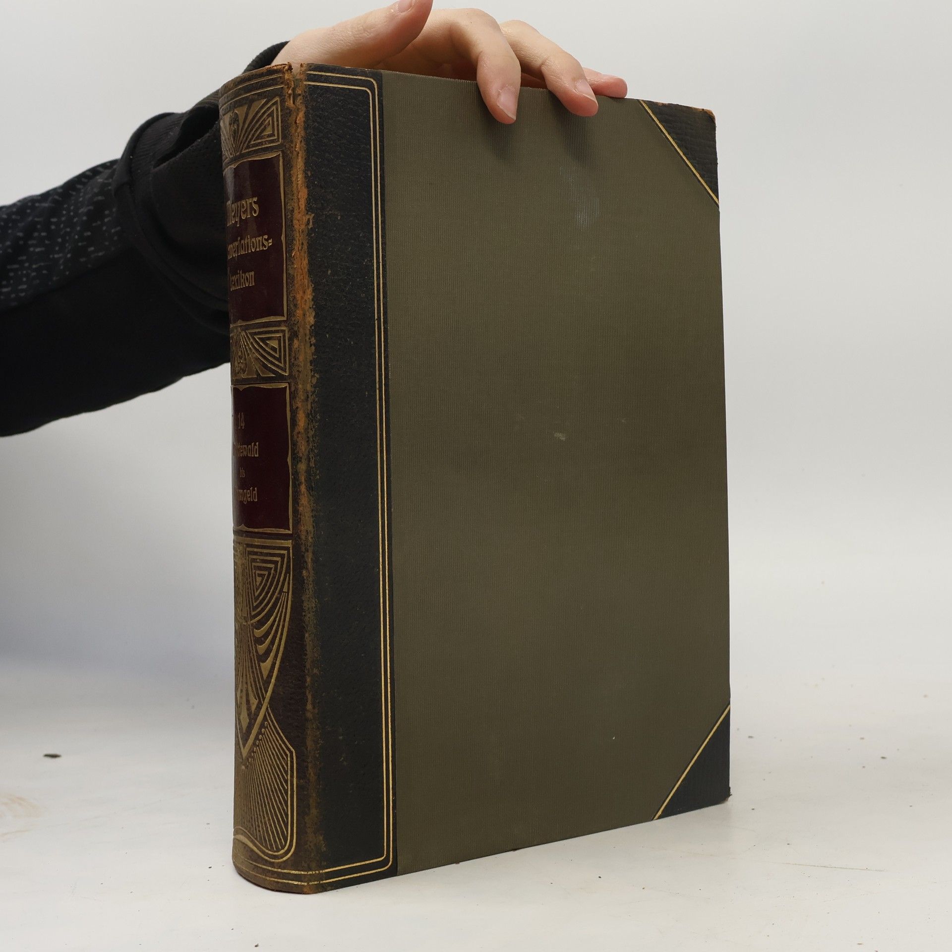 Meyers Großes Konversations-Lexikon 14