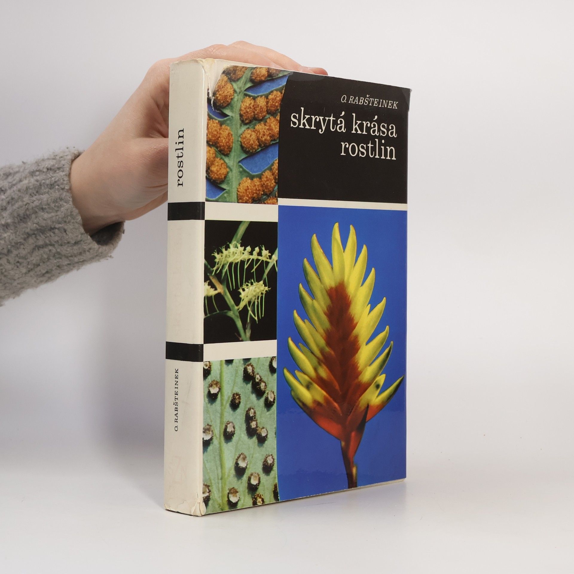 Skrytá krása rostlin