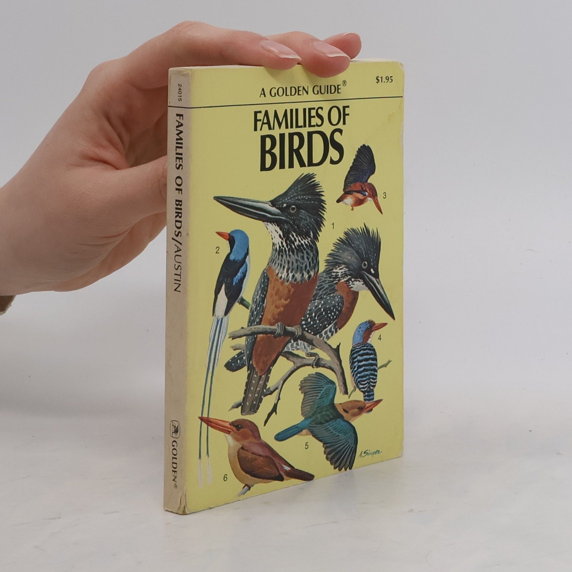 A Golden Guide: Families of Birds