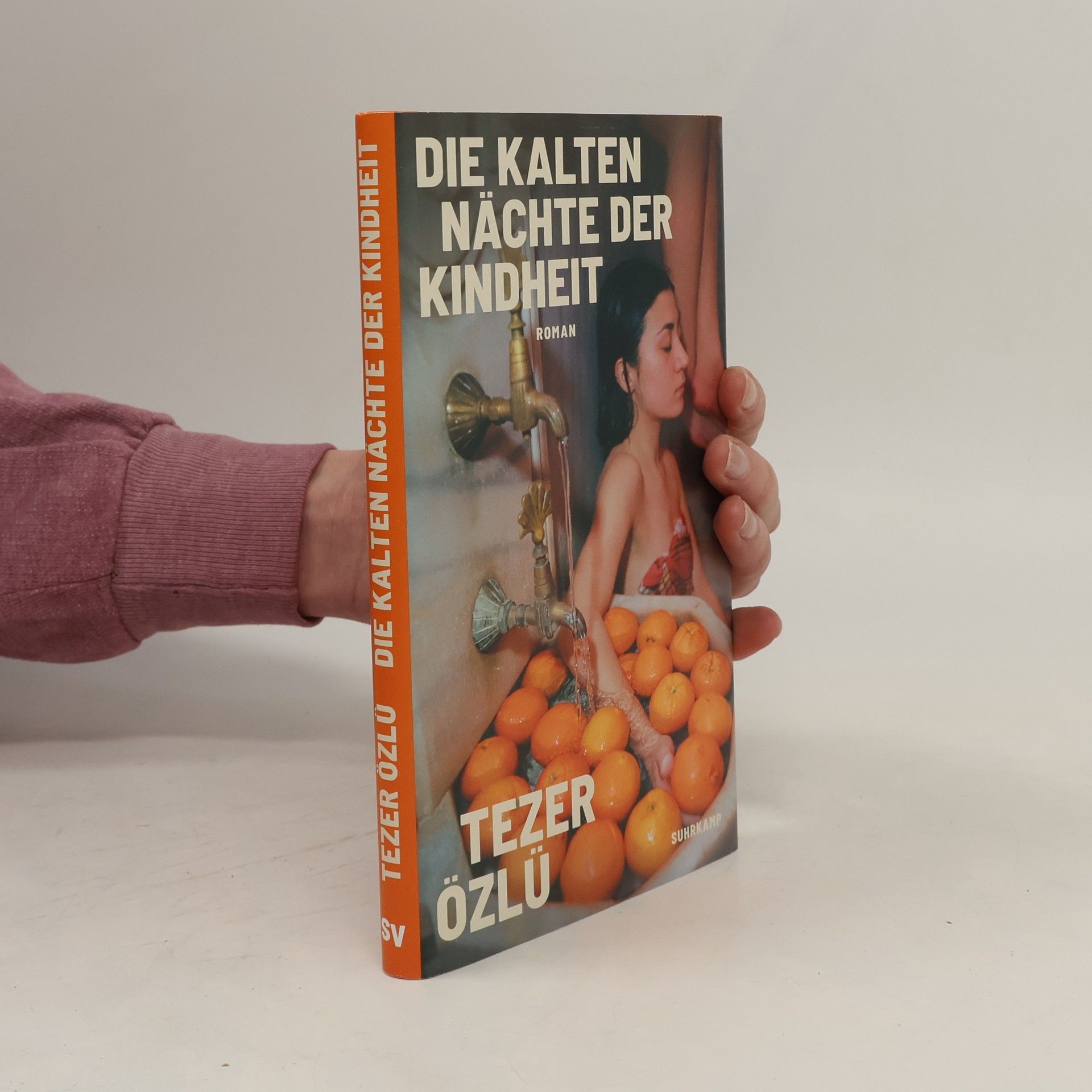 Tezer Özlü Die kalten Nächte der Kindheit