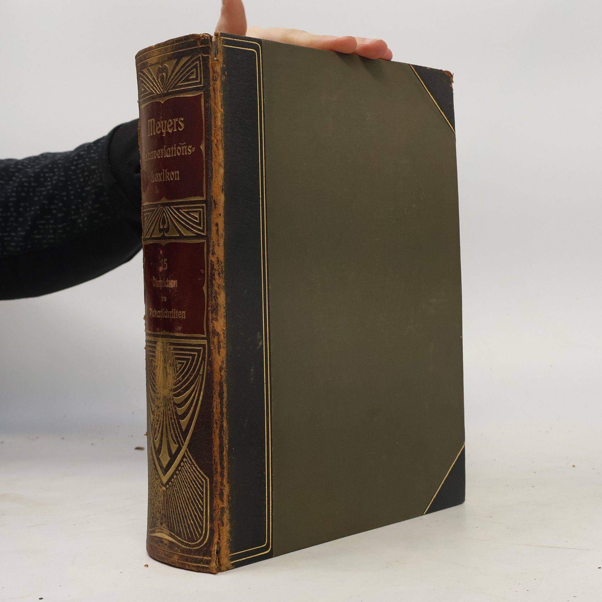 Kolektiv autorů Meyers Großes Konversations-Lexikon 15 (Öhmichen bis Plakatschriften)