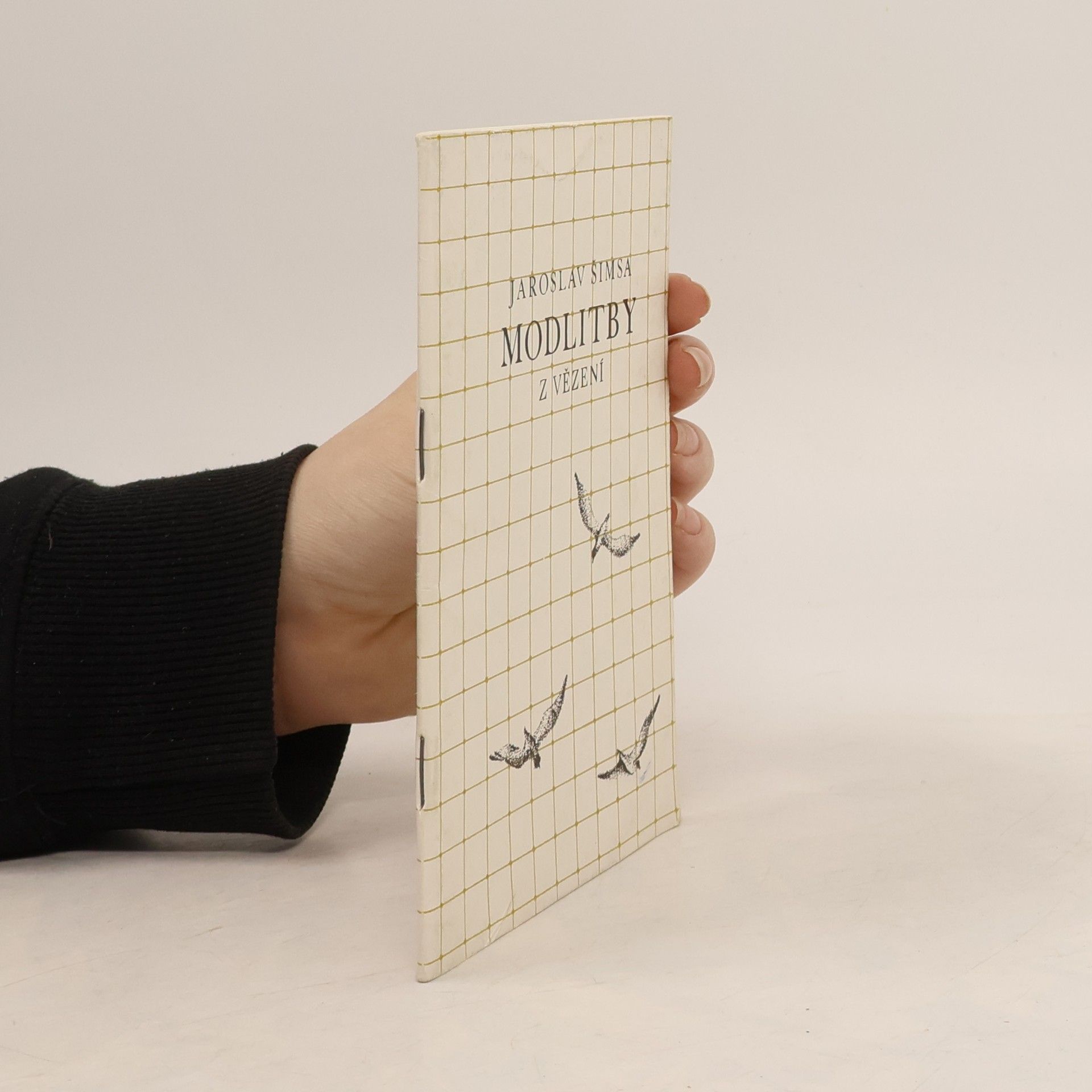 Modlitby z vězení : Mnichov, Stadelheim 1941-1943