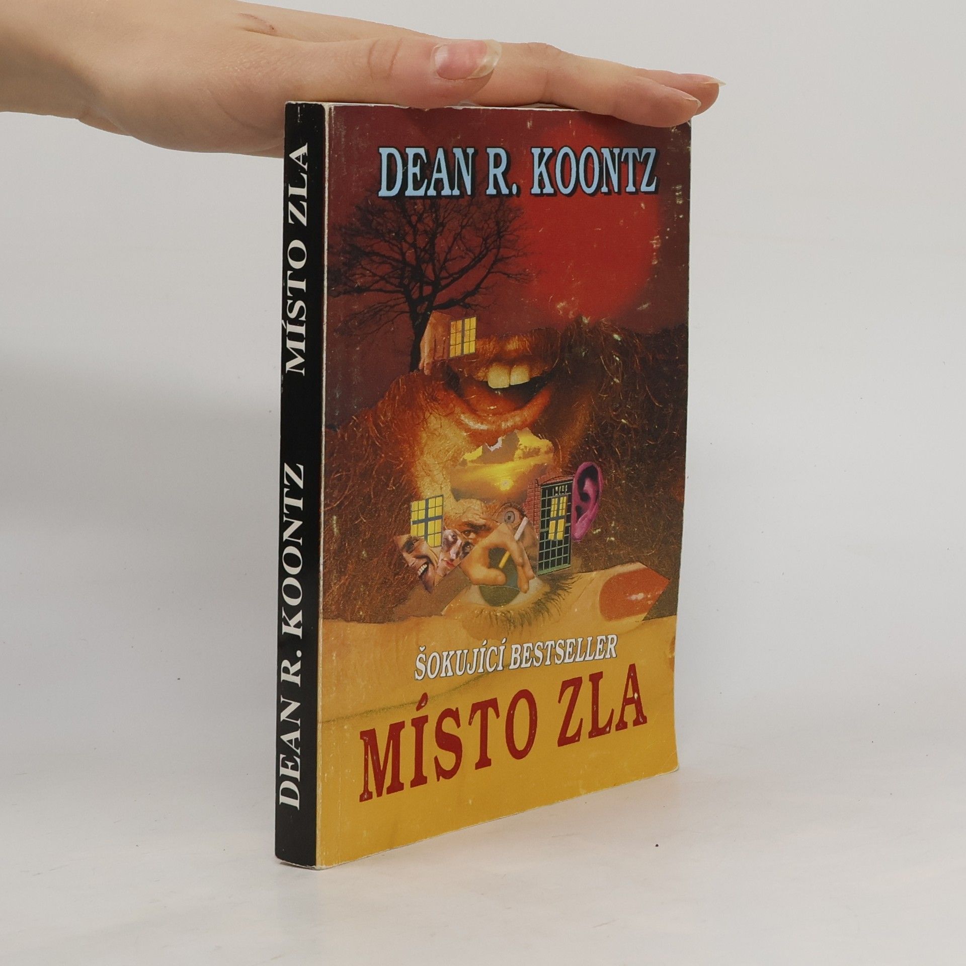 Dean R. Koontz Místo zla