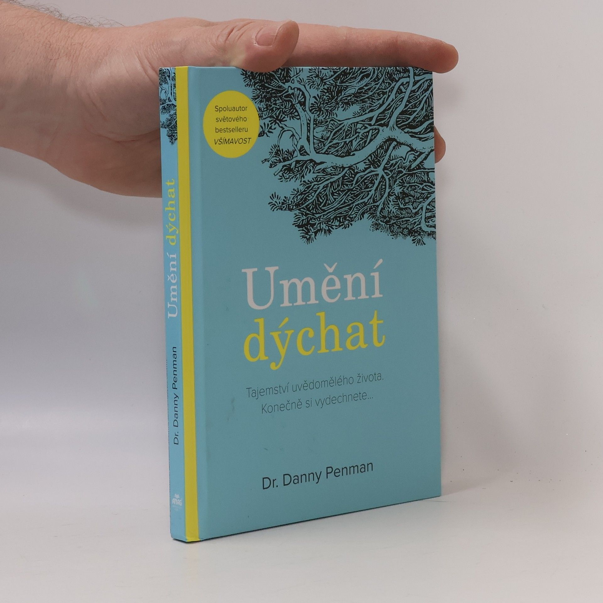 Daniel Penman Umění dýchat