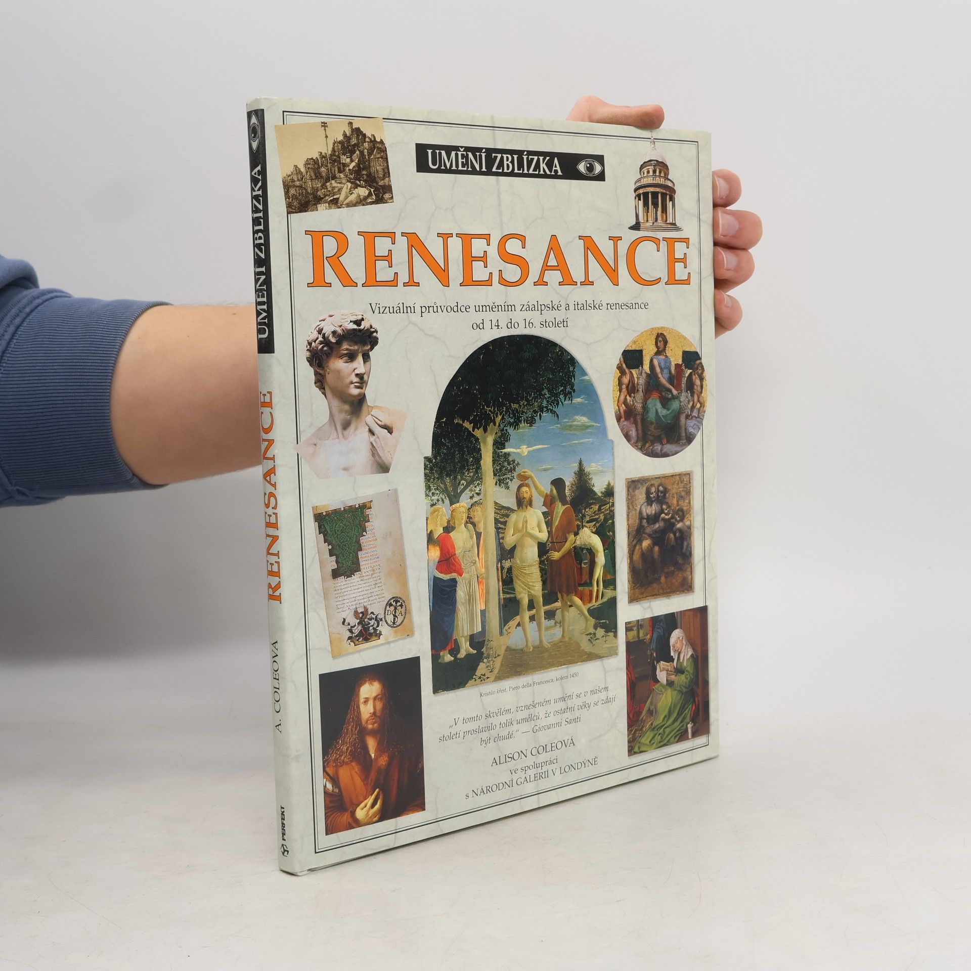 Alison Cole Renesance