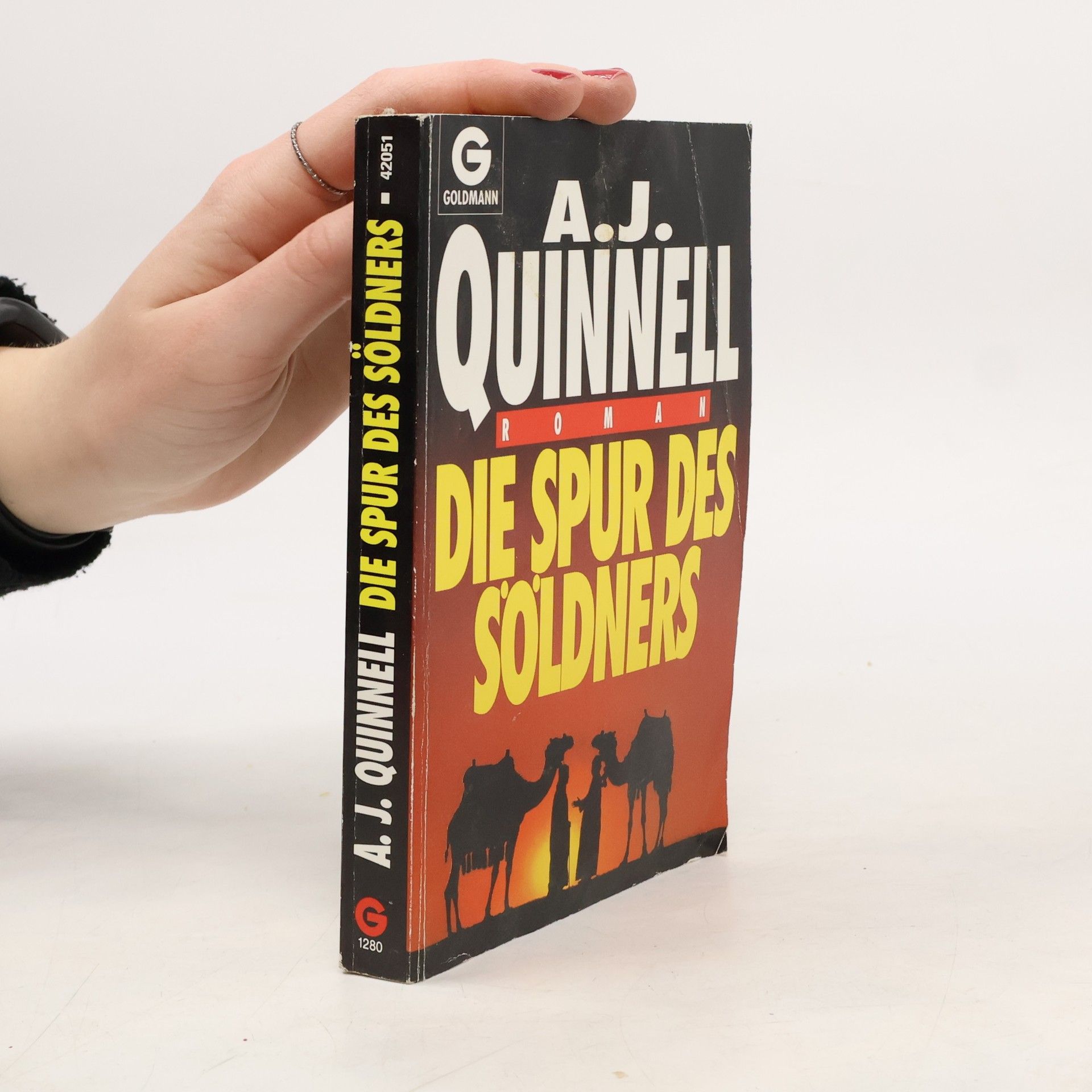 A. J. Quinnell Die Spur des Söldners