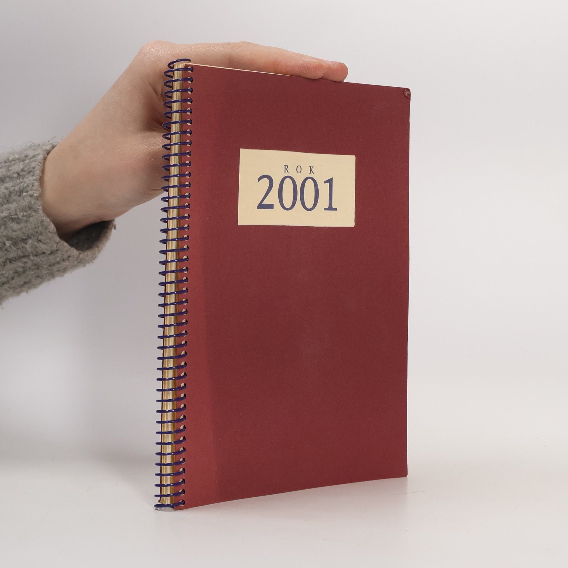 Autorenkollektiv Rok 2001