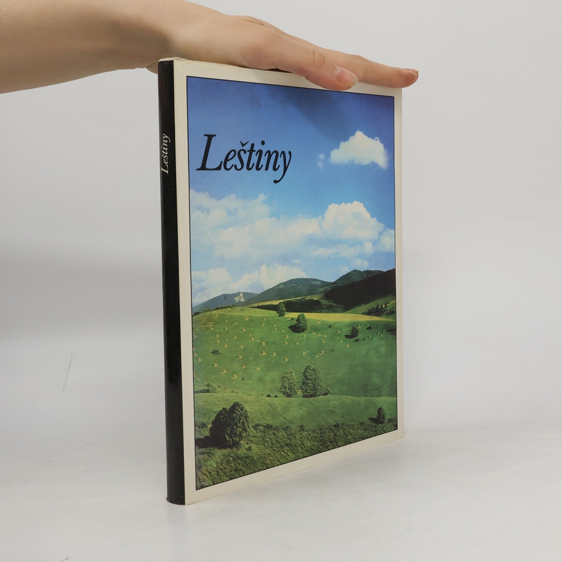 Zdeno Varga Leštiny