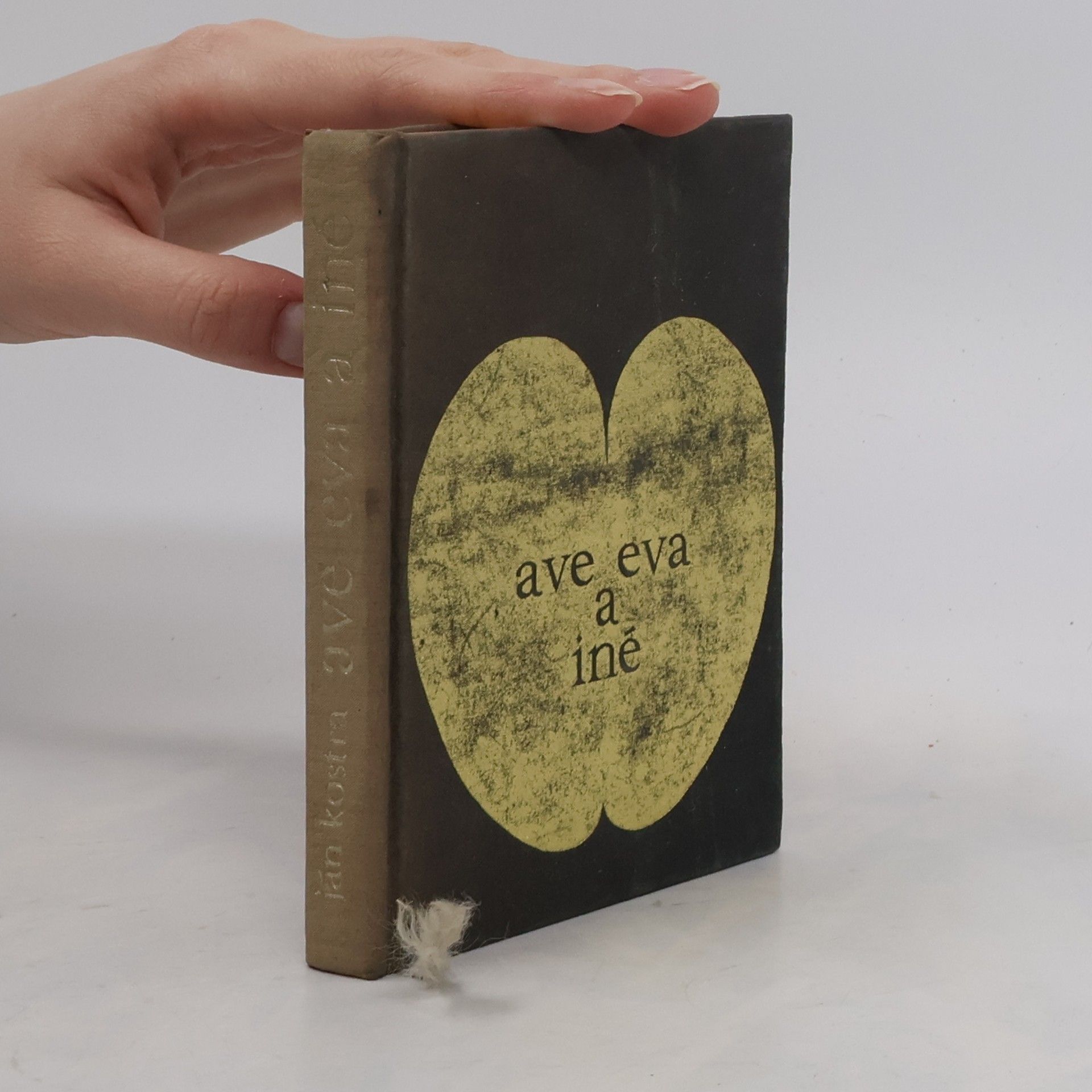 Ján Kostra Ave eva a iné