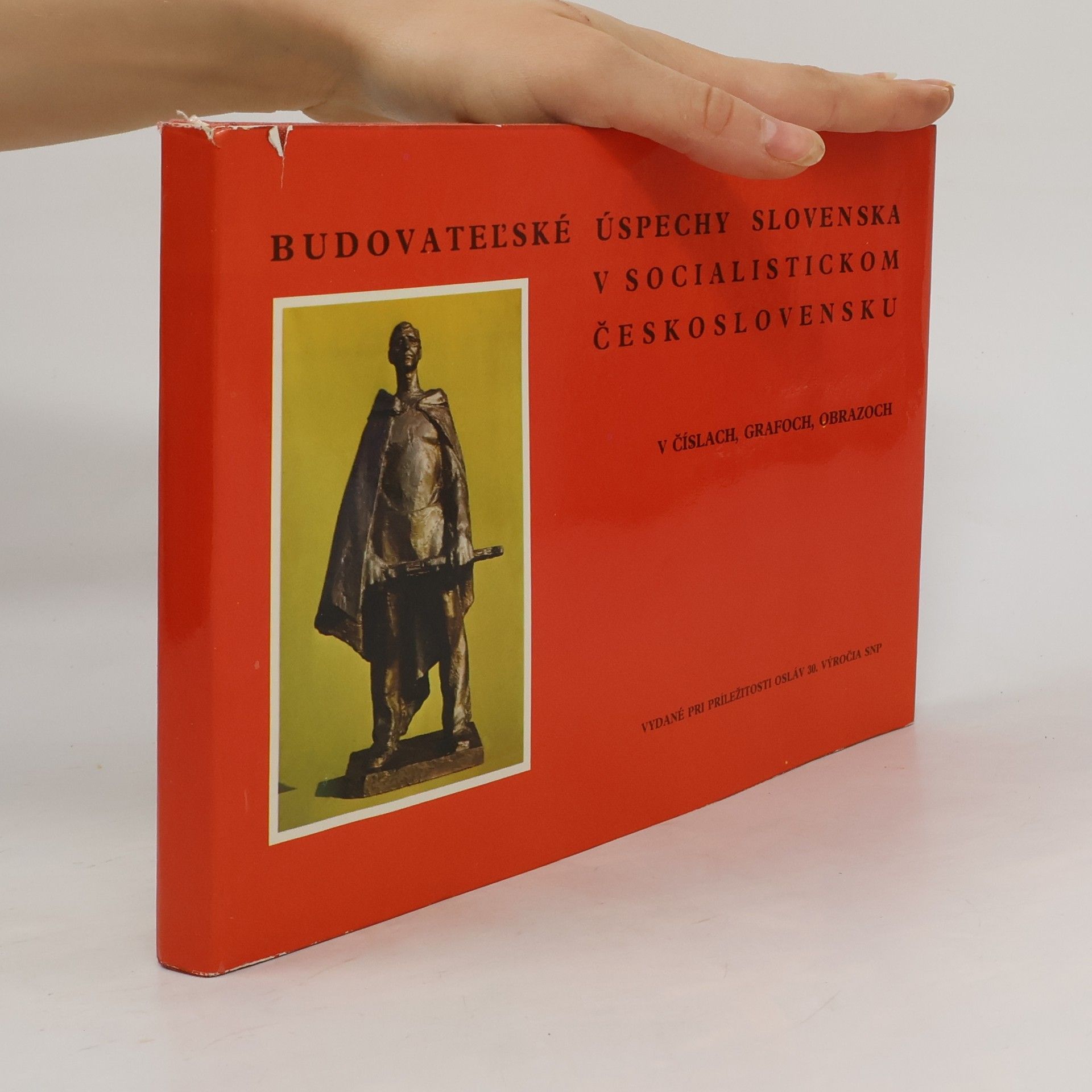 Autorenkollektiv Budovateĺské úspechy Slovenska v socialistickom Československu