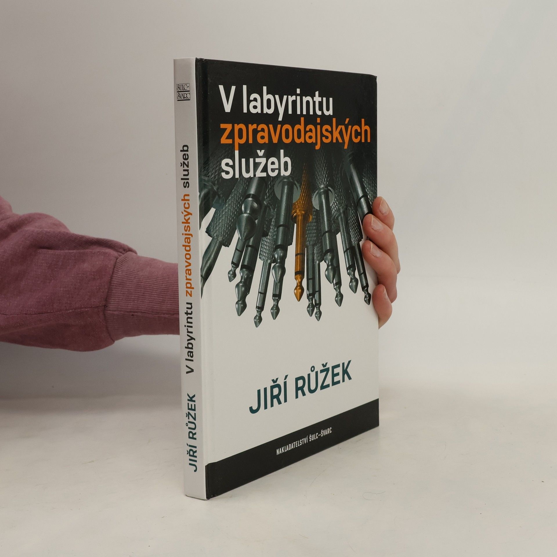 Jiří Růžek V labyrintu zpravodajských služeb