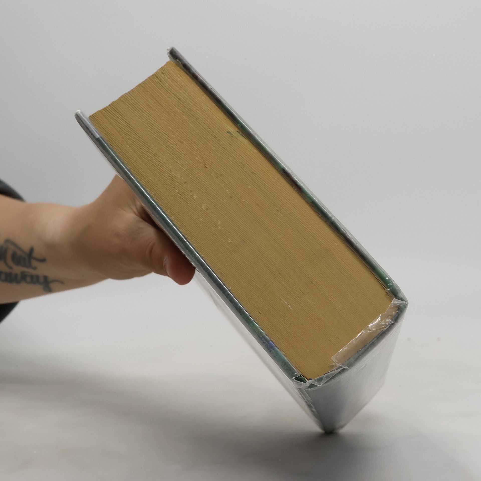 Autorenkollektiv Die Bibel. Einheitsübersetzung