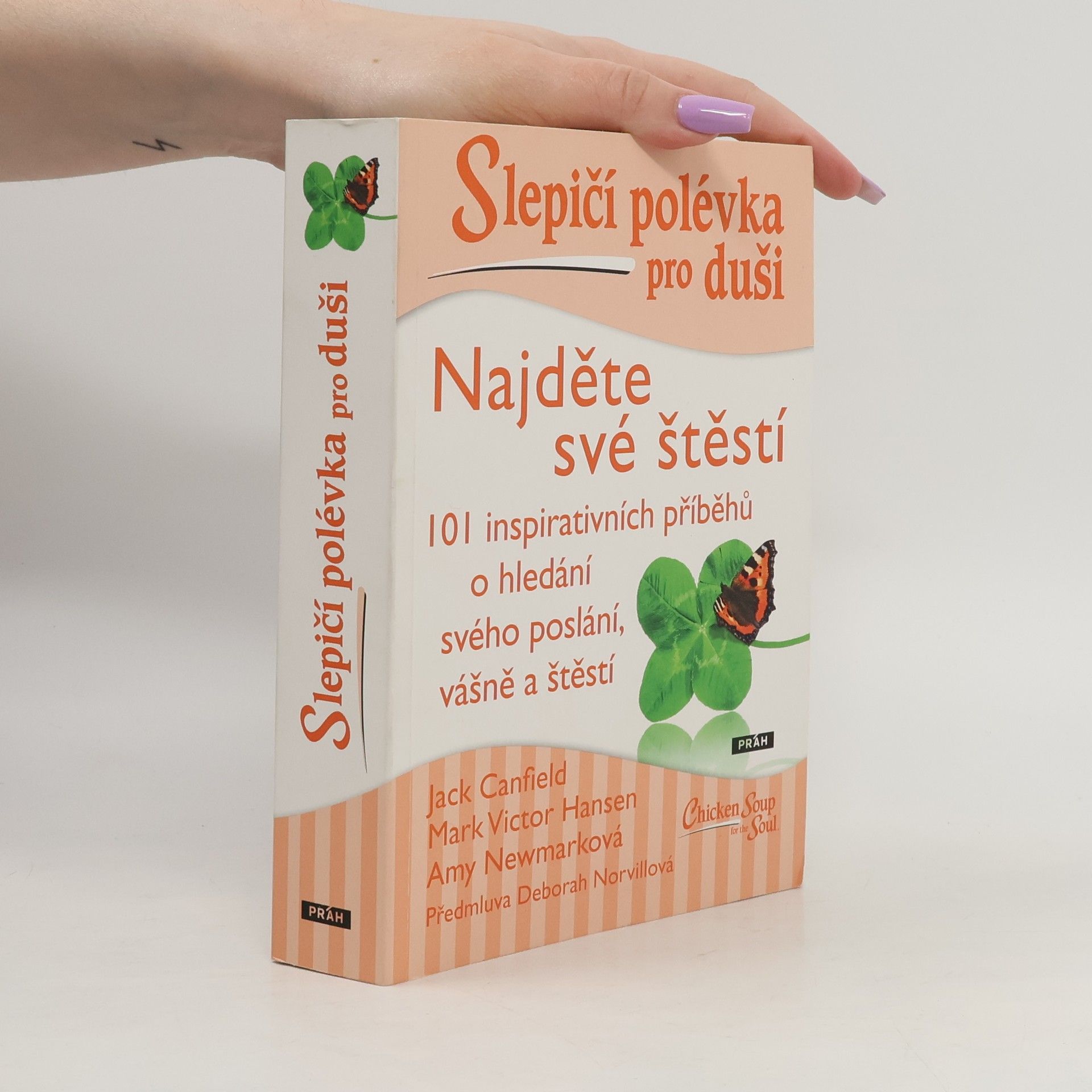 Slepičí polévka pro duši