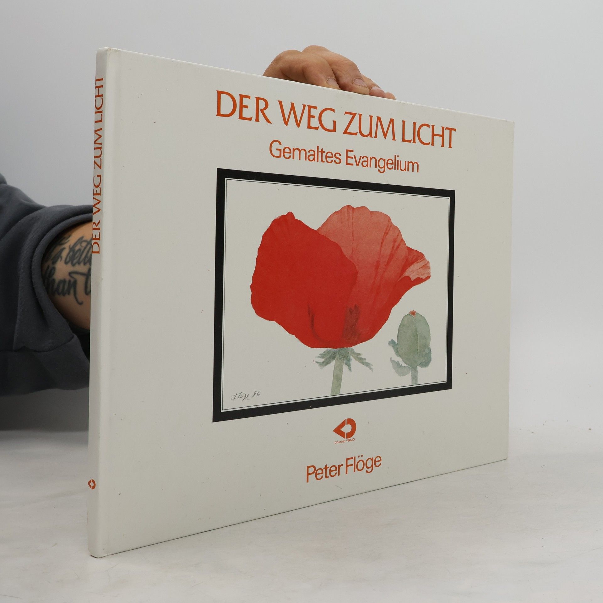 Peter Flöge Der Weg zum Licht