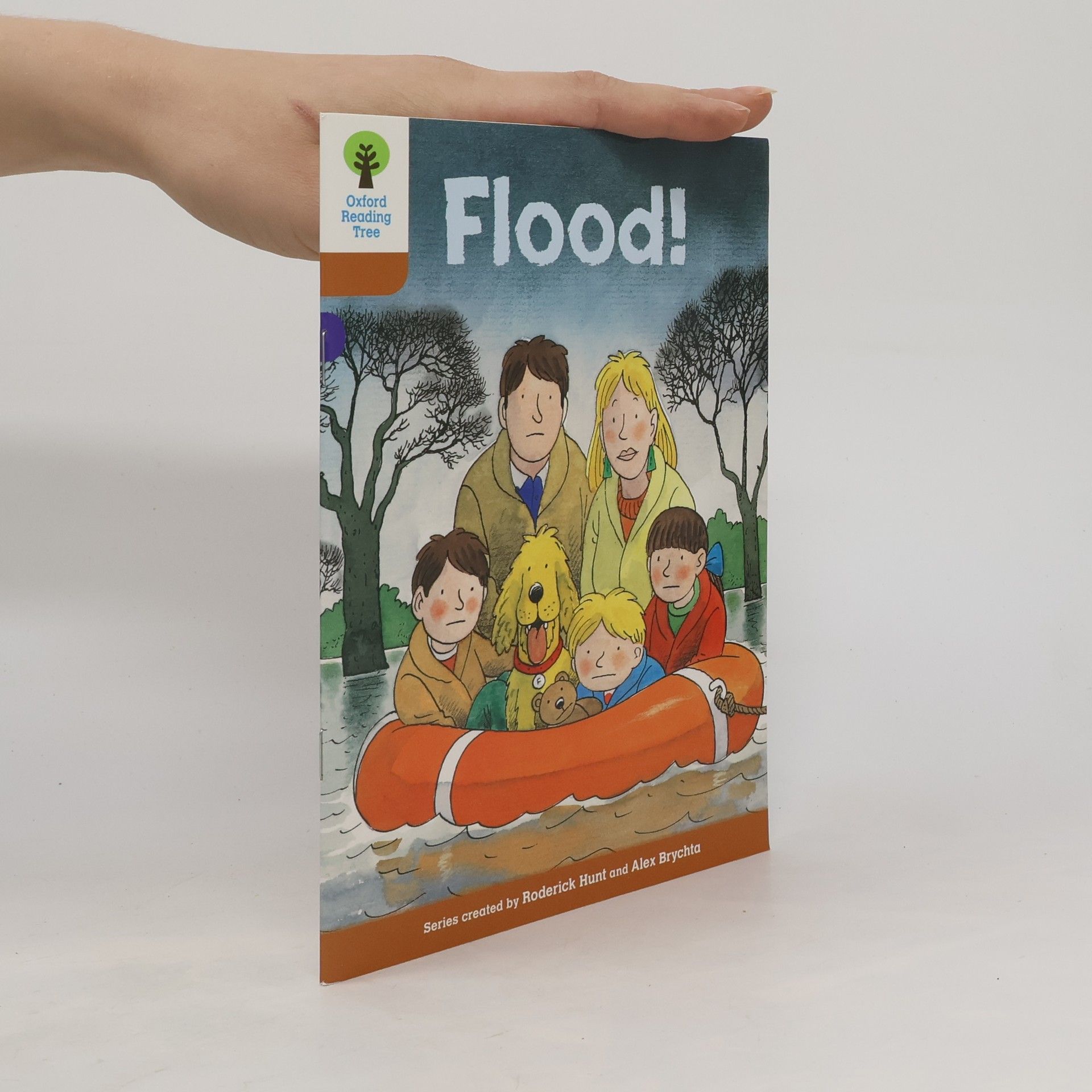 Oxford Reading Tree: Level 8: More Stories: Flood!