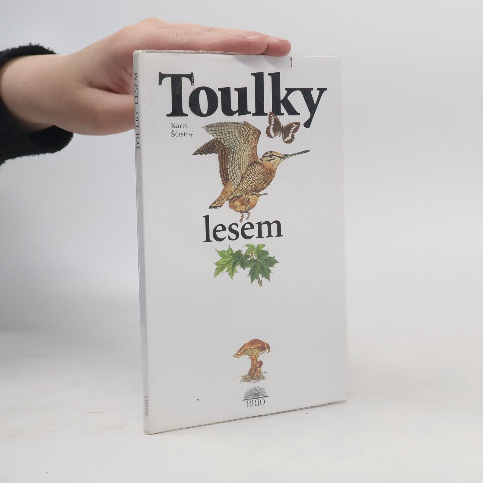 Karel Šťastný Toulky lesem