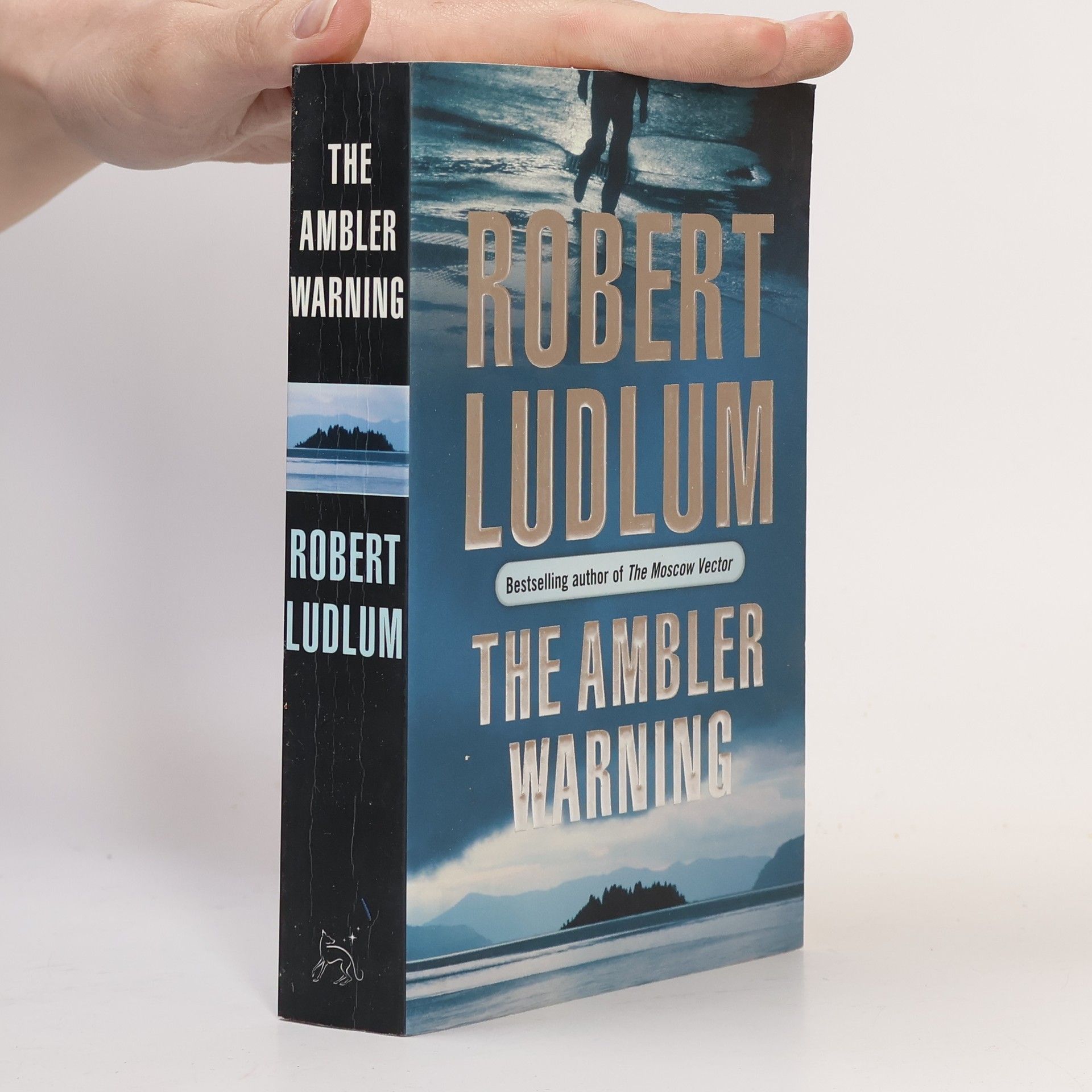 Robert Ludlum The Amber Warning