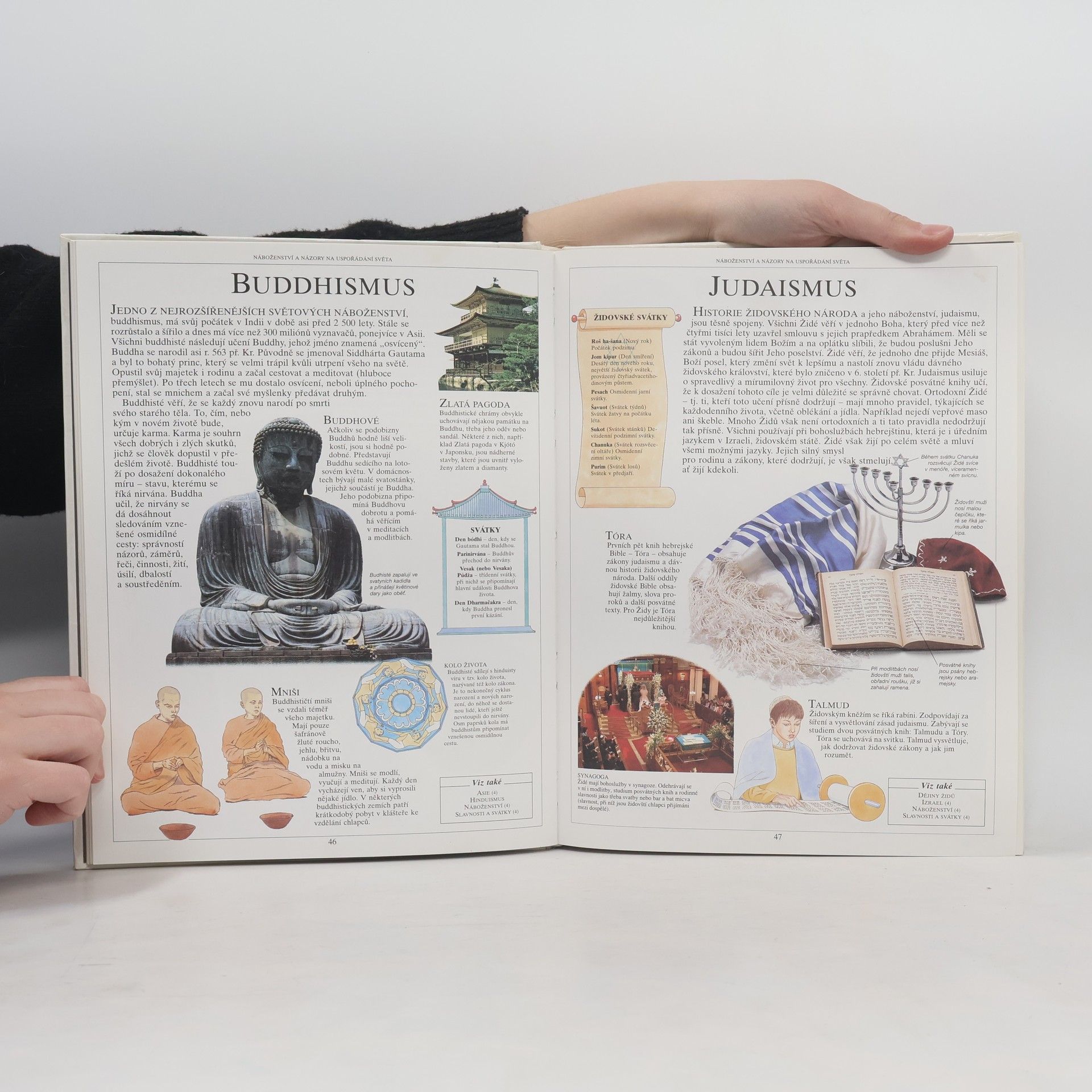 Neil Ardley Dětská ilustrovaná encyklopedie. III, Historie lidstva
