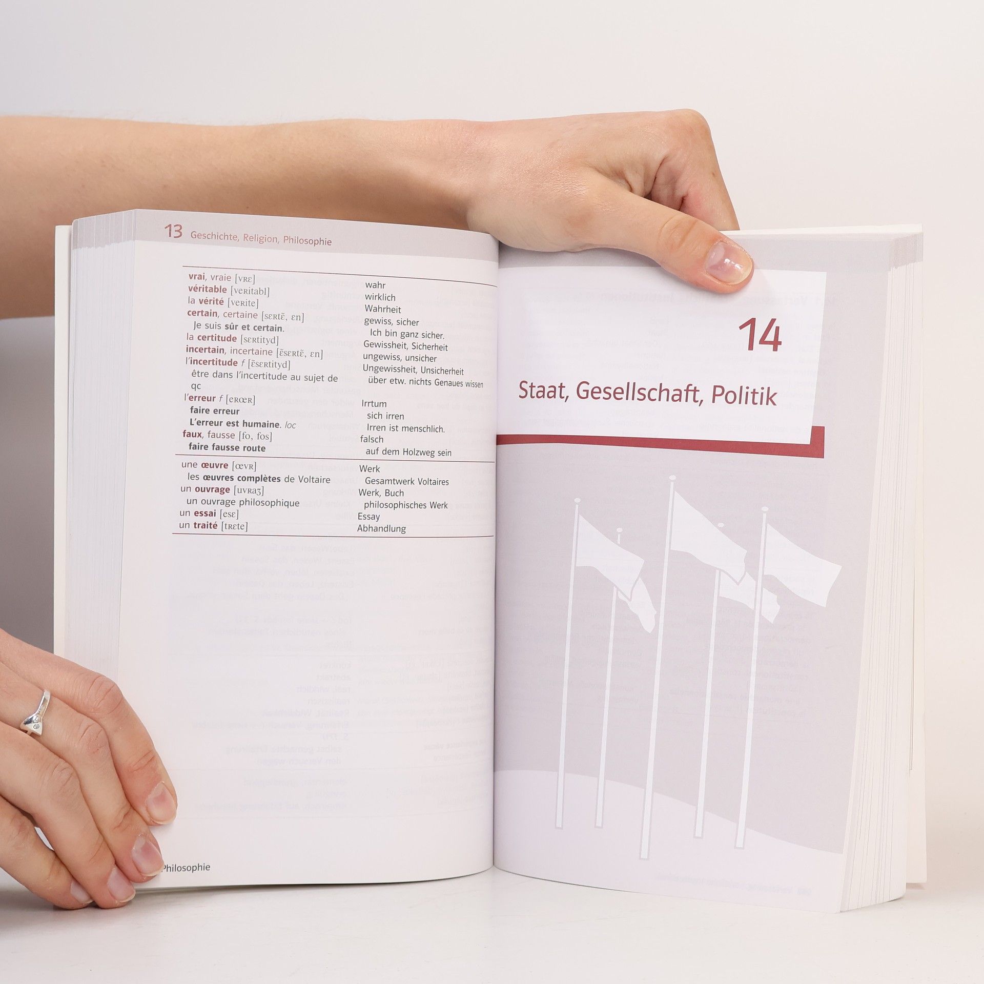 Thematischer Grund- und Aufbauwortschatz Französisch