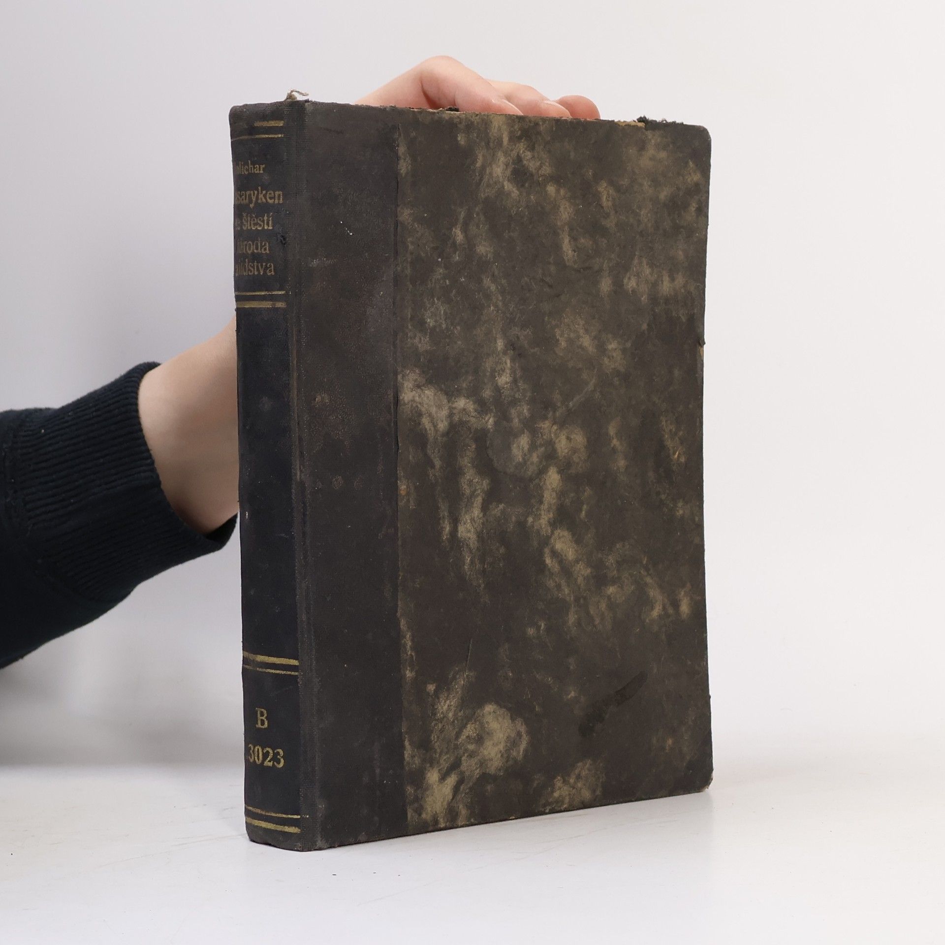 Václav Melichar S Masarykem ke štěstí národa a lidstva