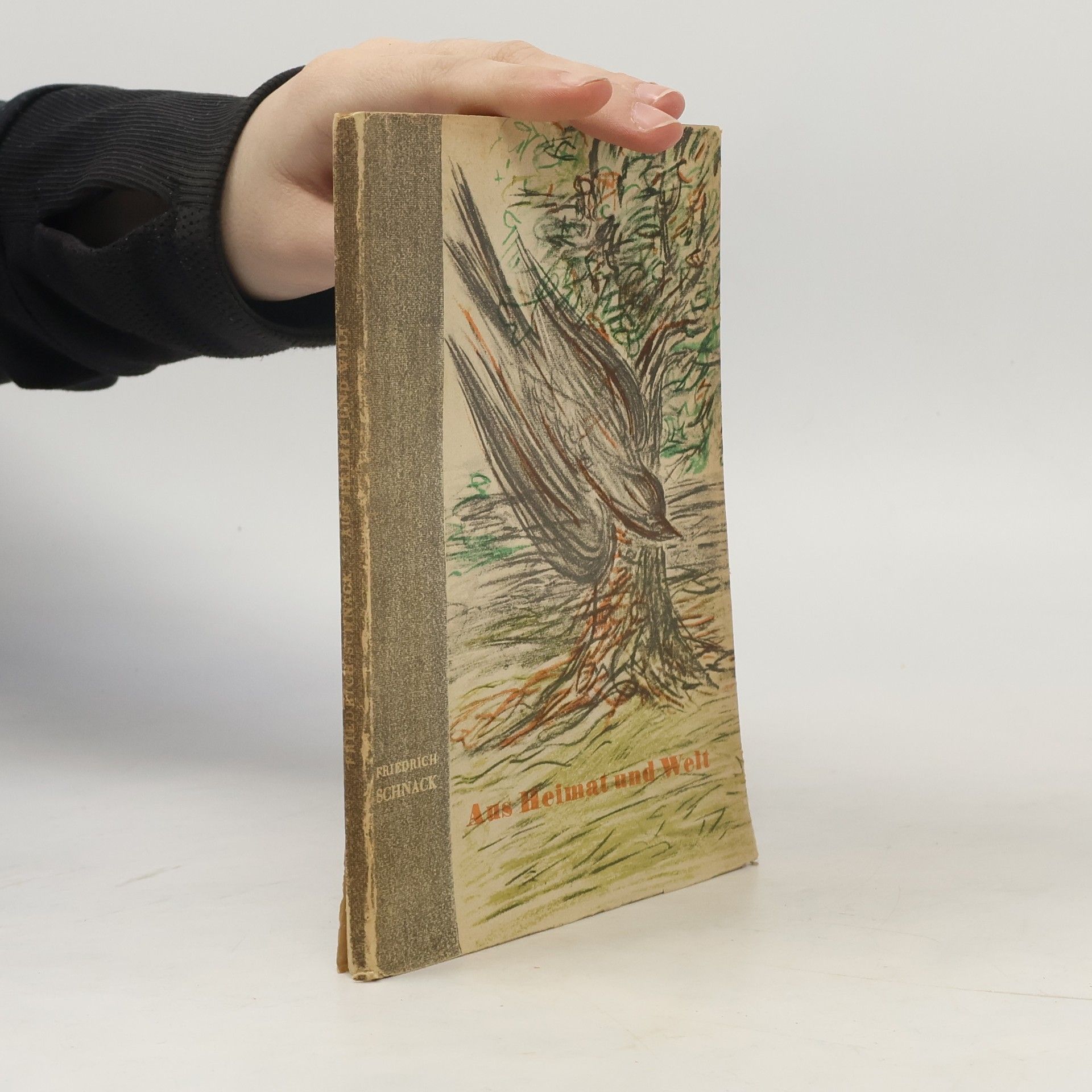 Friedrich Schnack Aus Heimat und Welt