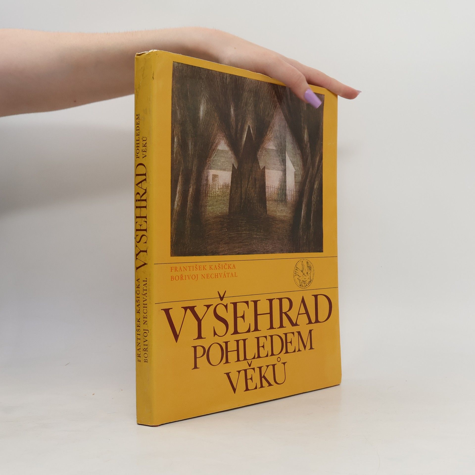 Borivoj Nechvatal Vyšehrad pohledem věků