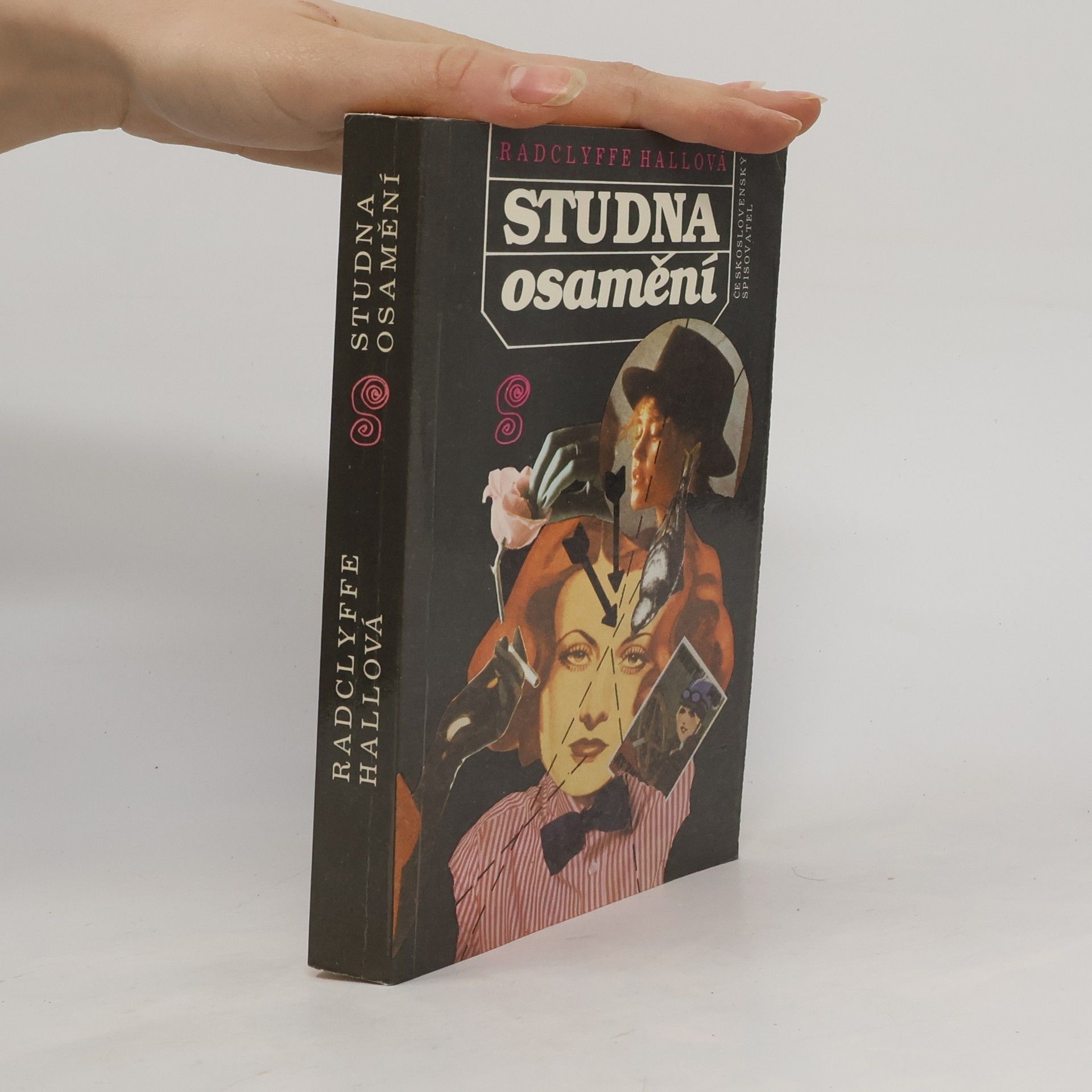 Radclyffe Hall Studna osamění