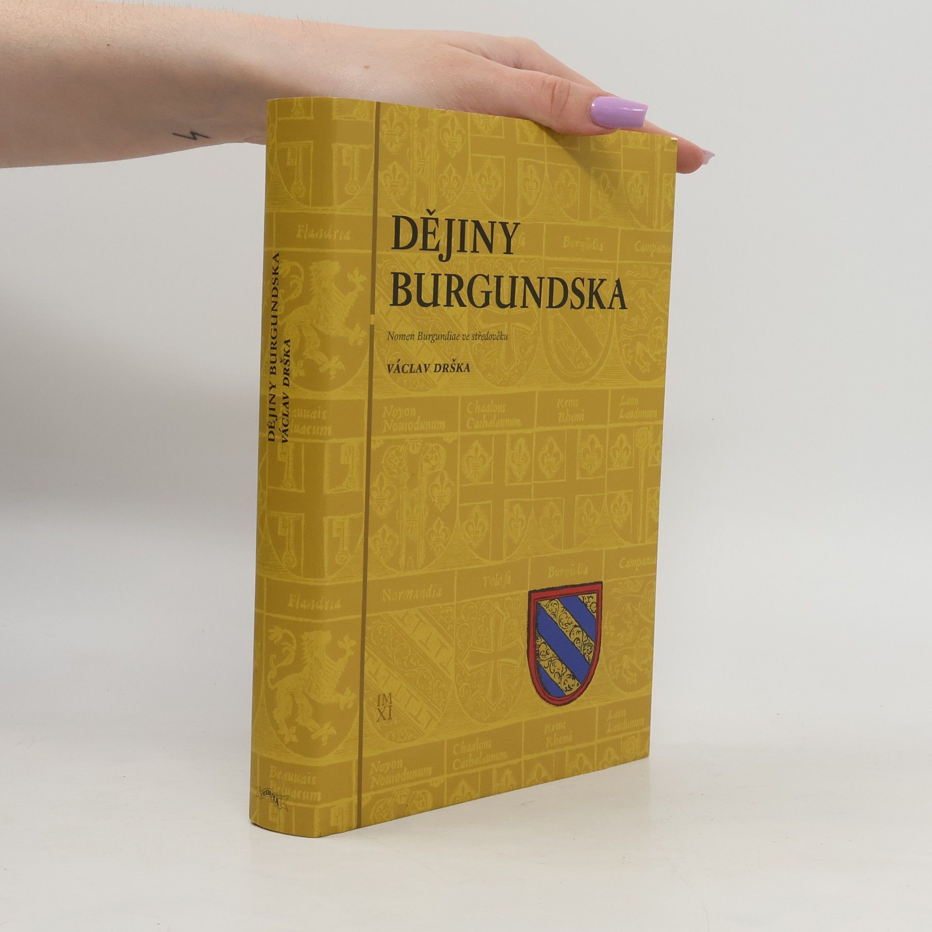 Dějiny Burgundska: Nomen Burgundiae ve středověku