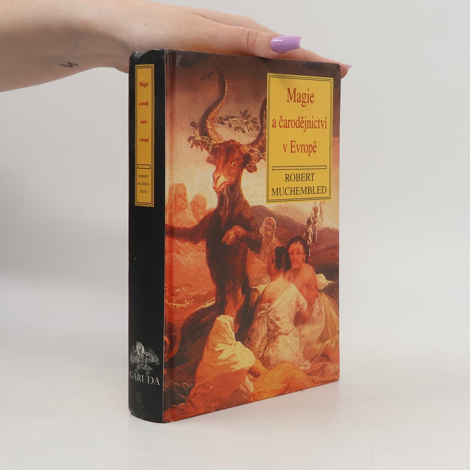 Robert Muchembled Magie a čarodějnictví v Evropě