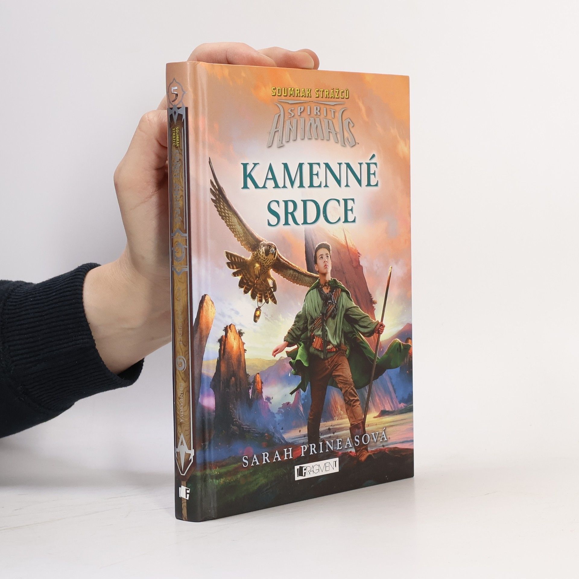 Sarah Prineas Kamenné srdce