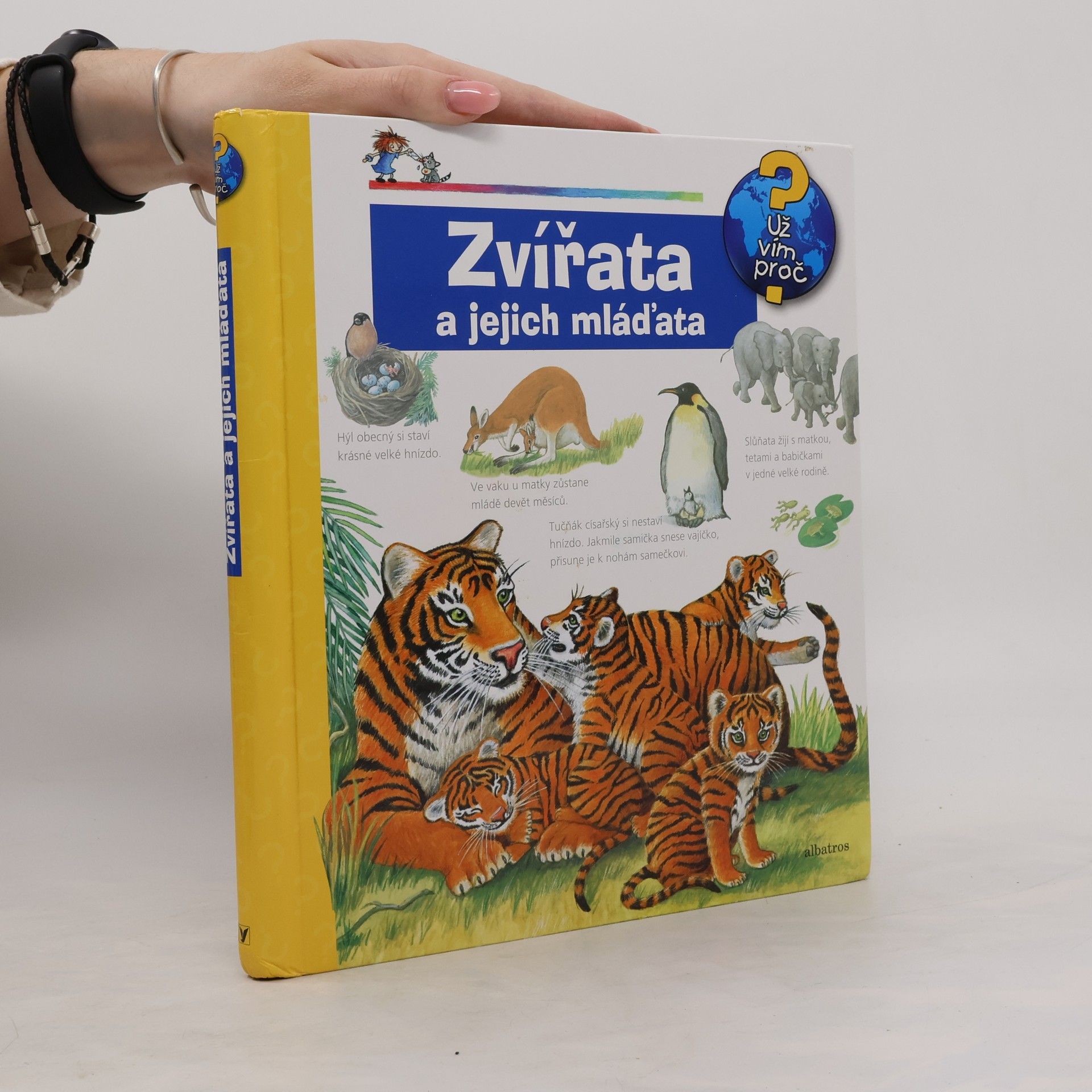 Doris Rübel Zvířata a jejich mláďata