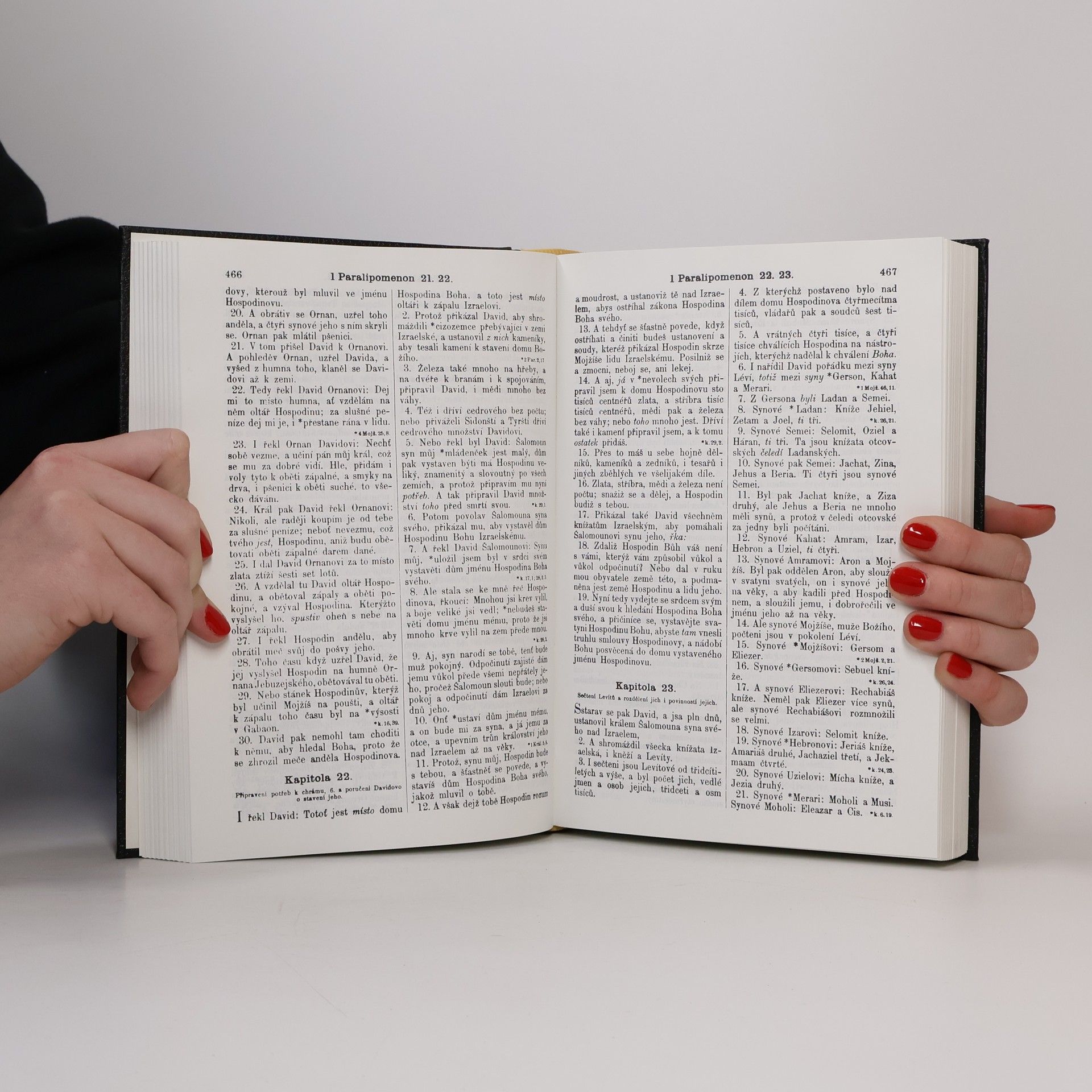 Autores varios Bible svatá