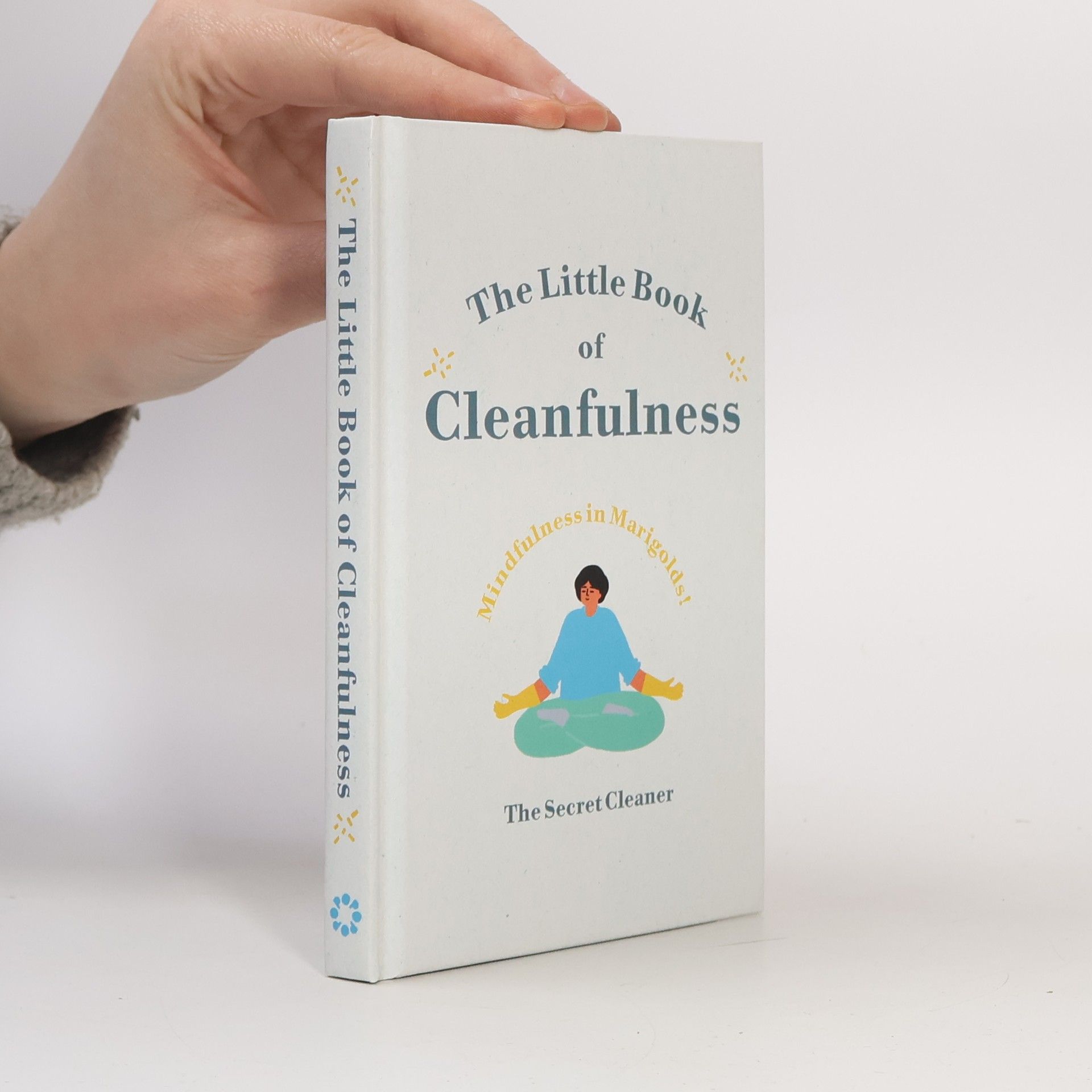 The Secret Cleaner The Little Book of Cleanfulness