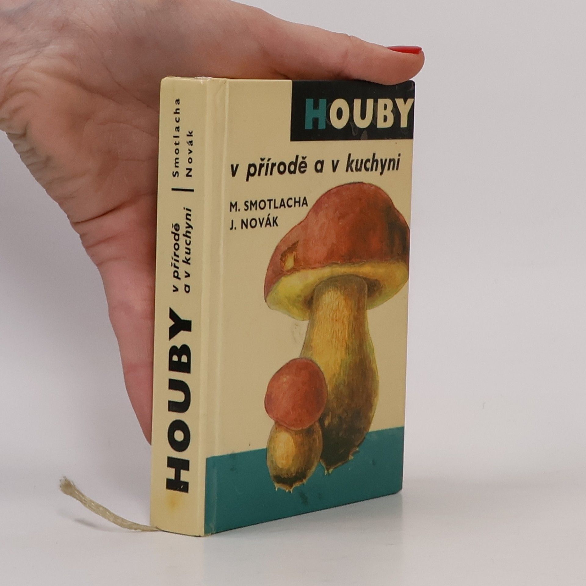 Houby v přírodě a v kuchyni