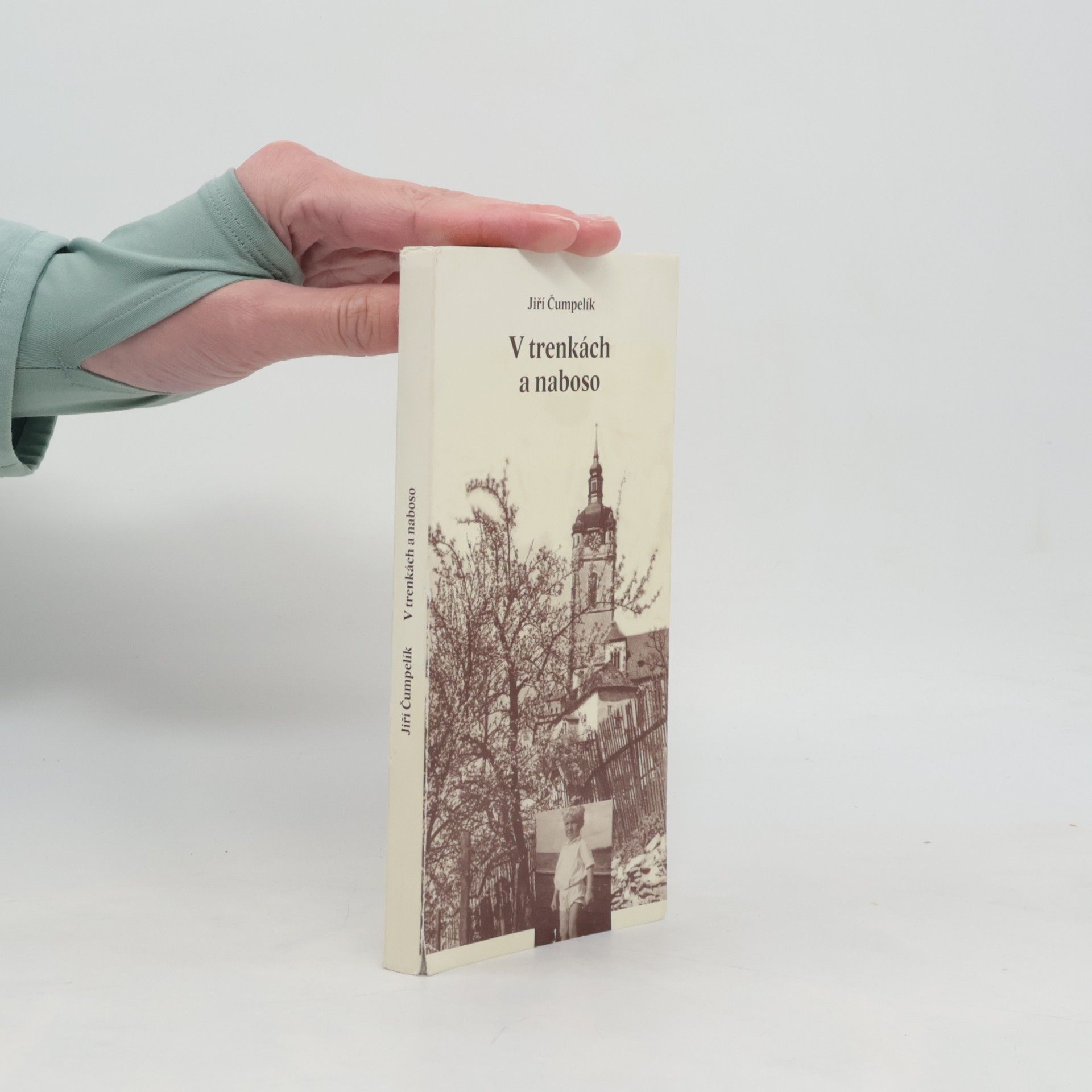 Dietmar Aichele Co tu kvete?