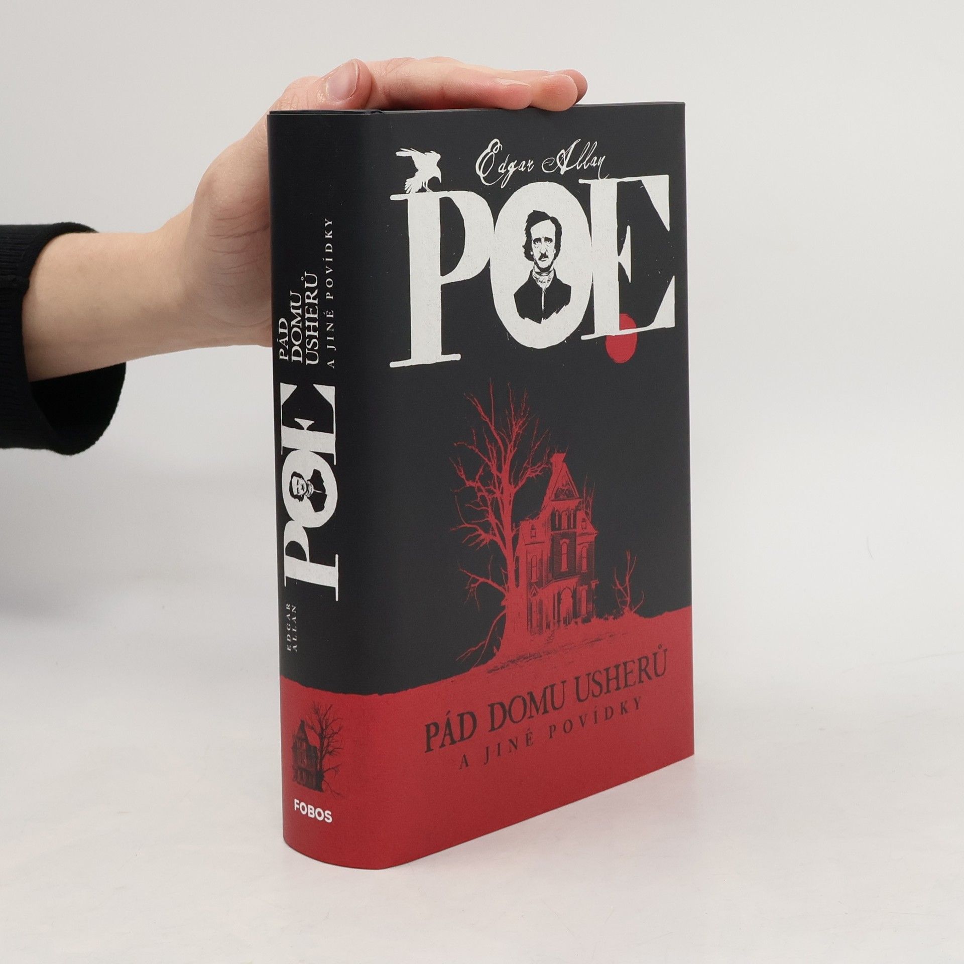 Edgar Allan Poe Pád Domu Usherů a jiné povídky