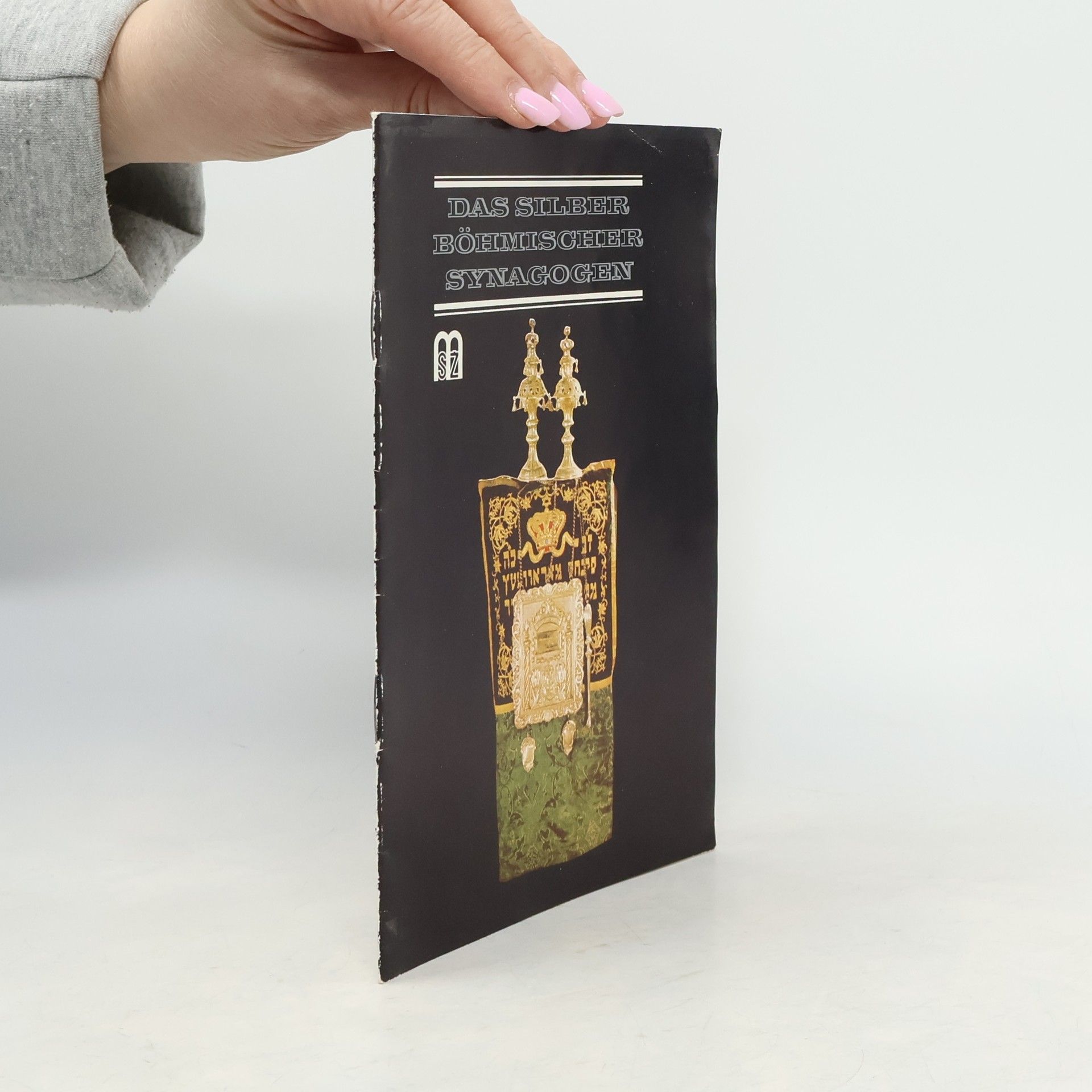 Kolektív autorov Das Silber Böhmischer Synagogen