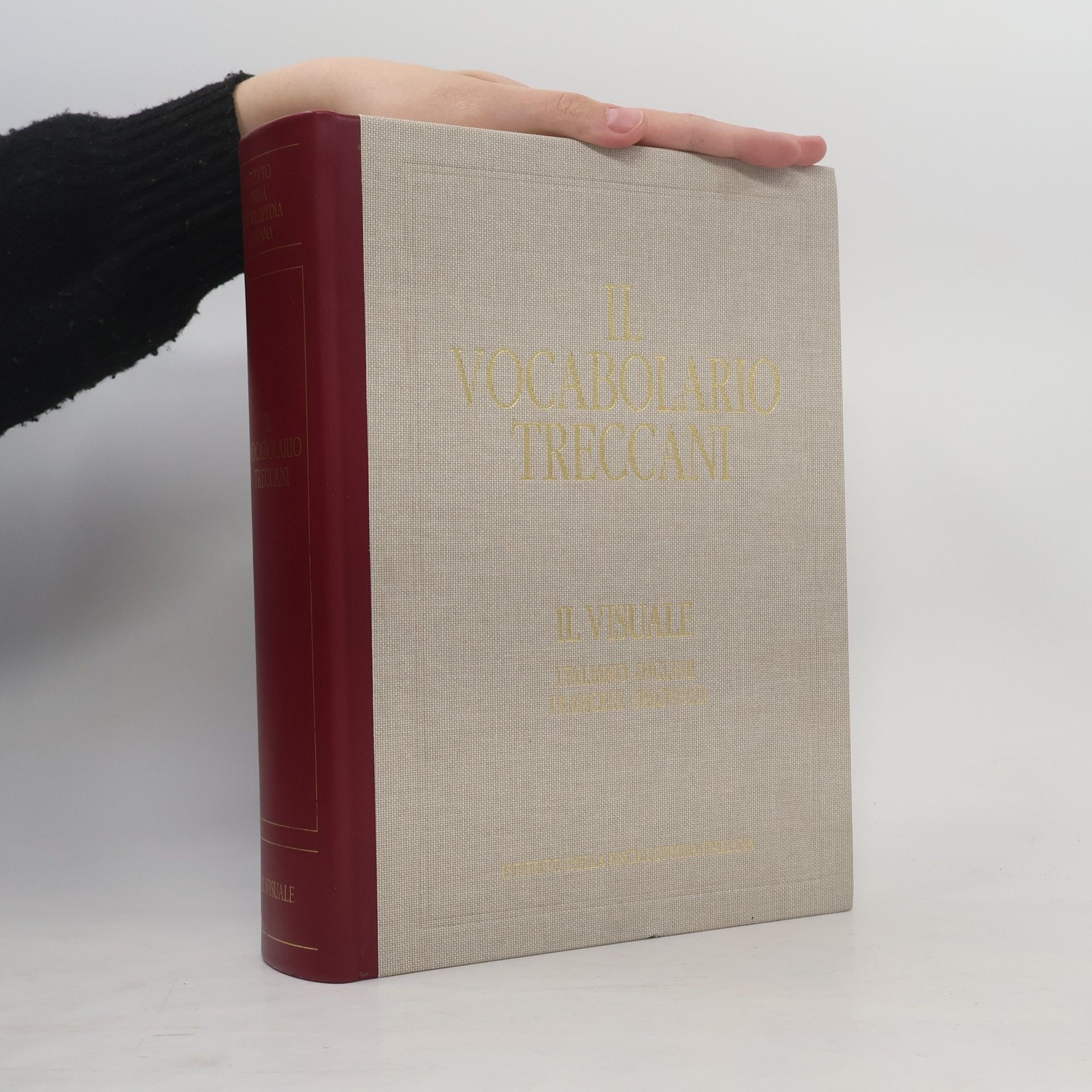 Massimo Bray Il vocabolario Treccani II.