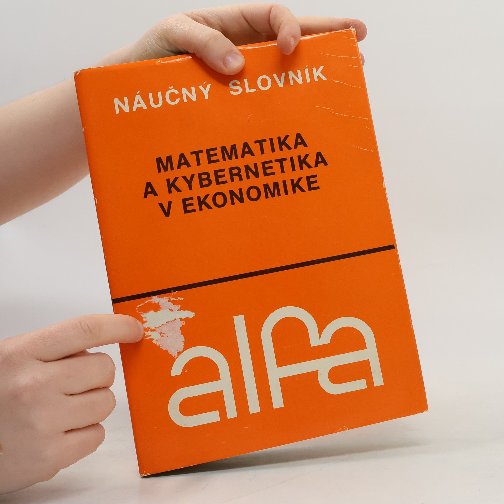 I. I. Gontareva Matematika a kybernetika v ekonomike