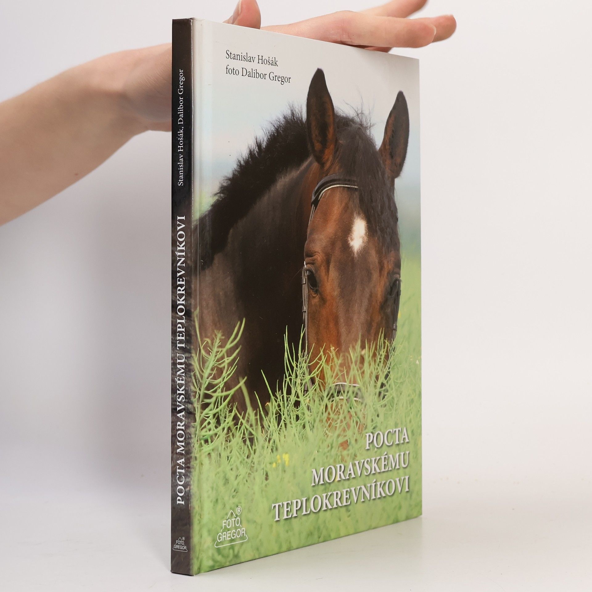 Pocta moravskému teplokrevníkovi