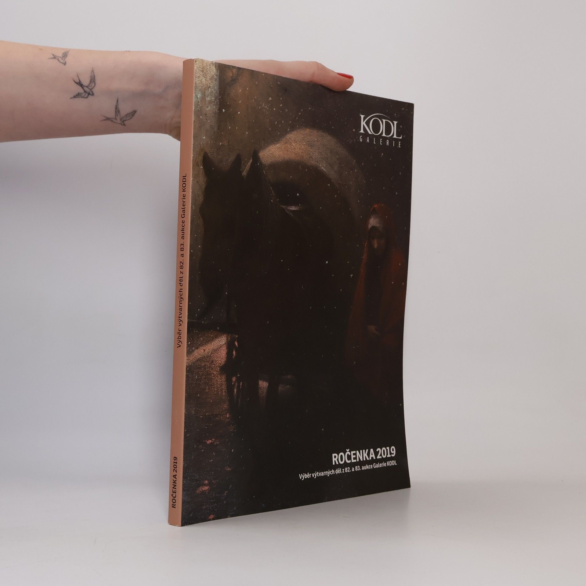 Petr Kubík Ročenka 2019